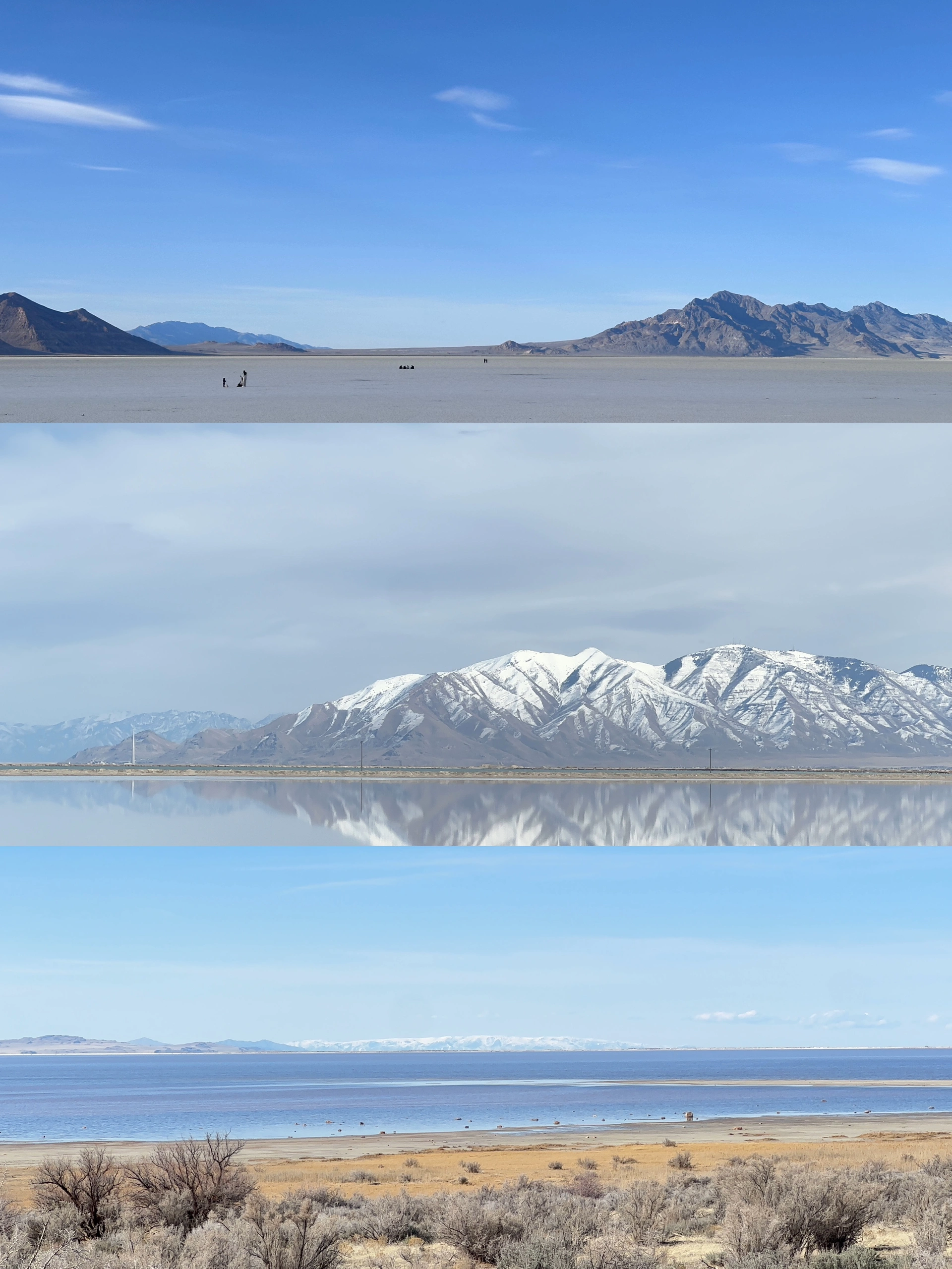 干枯的盐湖🗺️ @淋雨醒zZ