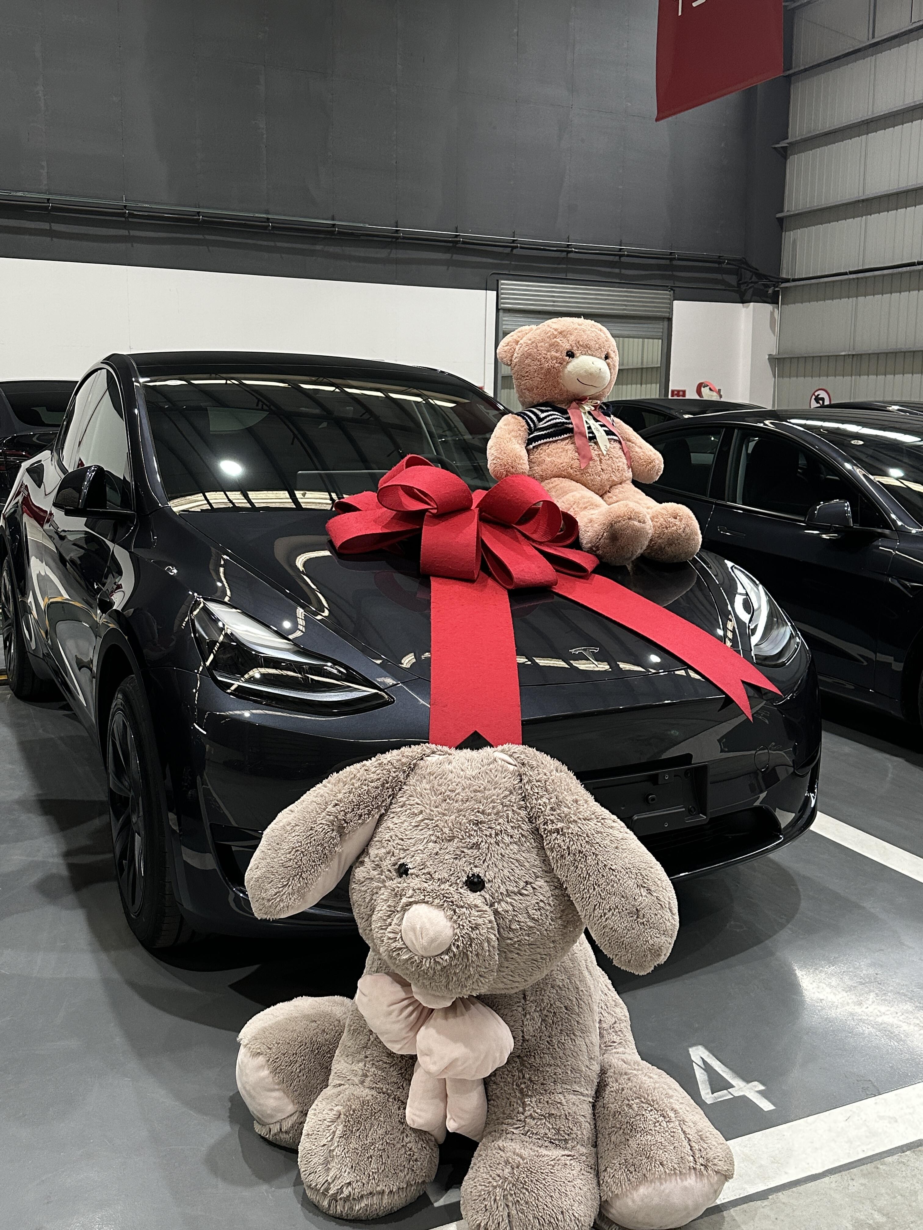 昆明00后女生的第一个大玩具 请不要打击我 #特斯拉 #特斯拉modely #特斯拉model3 #人生第一辆车 #适合年轻人的第一辆车 #提车 #年轻人购车 #适合女孩子的车  #大玩具 @奥特曼爱吃冰淇淋