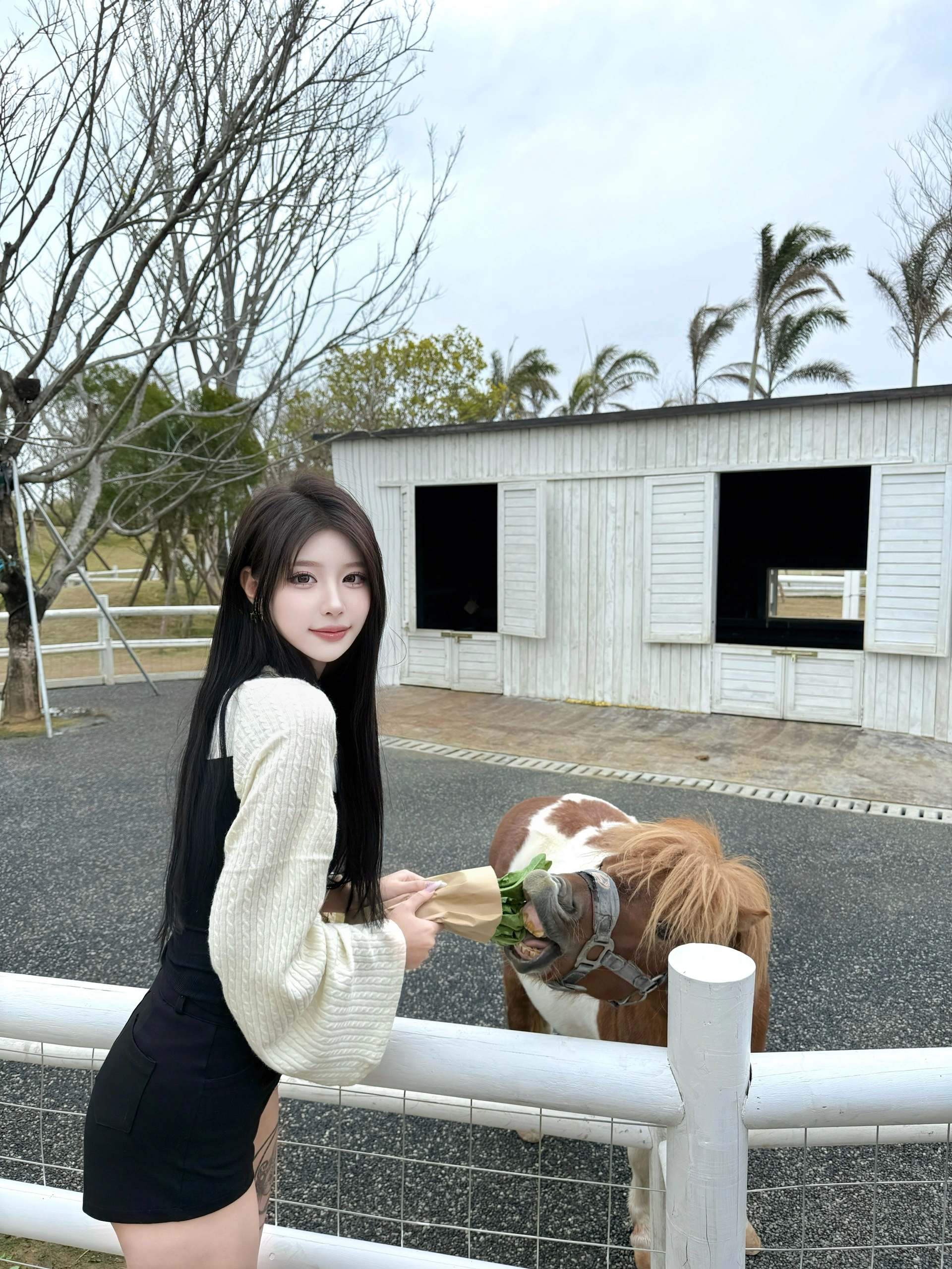 双鱼岛牧场好多小动物～ 超级出片 @今天不开心