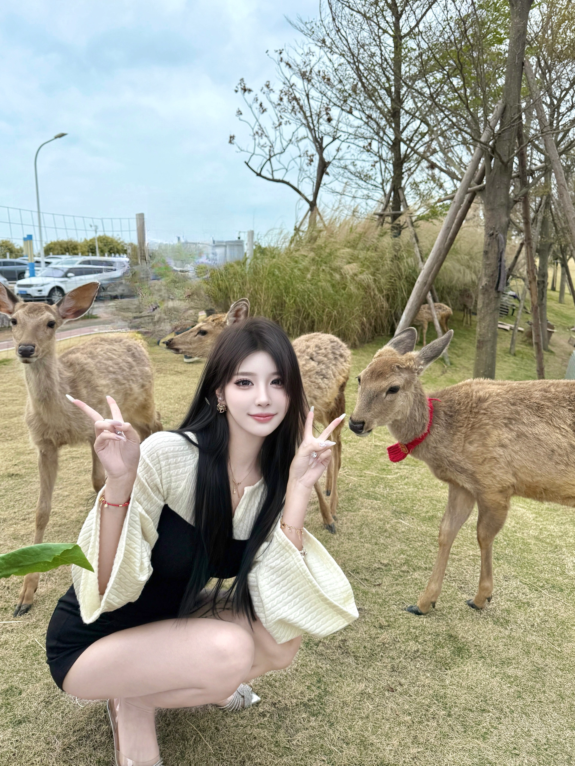 双鱼岛牧场好多小动物～ 超级出片 @今天不开心