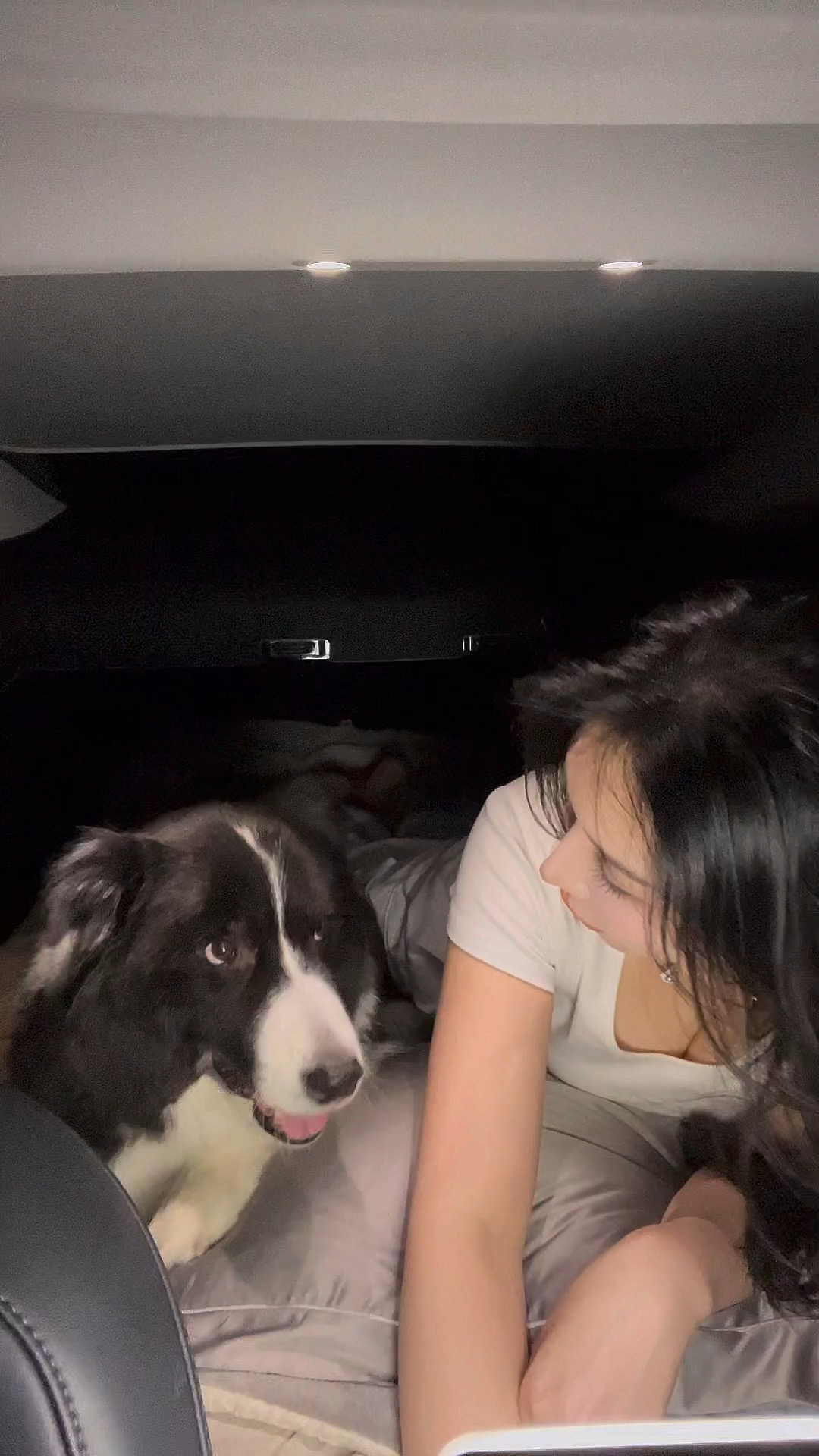 带Na少床车露营⛺️被追着问这是明星小狗吗？ 谁懂女生养边牧有多帅😎
带Na少出来床车露营⛺️
拍照的时候被好几个路人问你这是明星小狗吗？
作为狗妈的那颗骄傲的心一下子上来了，嘴里说着不是不是…心里…你们懂吧…乐开花🌸🫰🏻（心想真有眼光）
瞧瞧姐花50布置的特斯拉model3大床房～有点意思吧[萌萌哒R]@汽车薯 @宠物薯
#宠物坐车初体验 #我的宠物是人机 #框住车内小幸福
#边牧 #带着边牧去旅游 #特斯拉model3 #特斯拉 @李富贵和banana