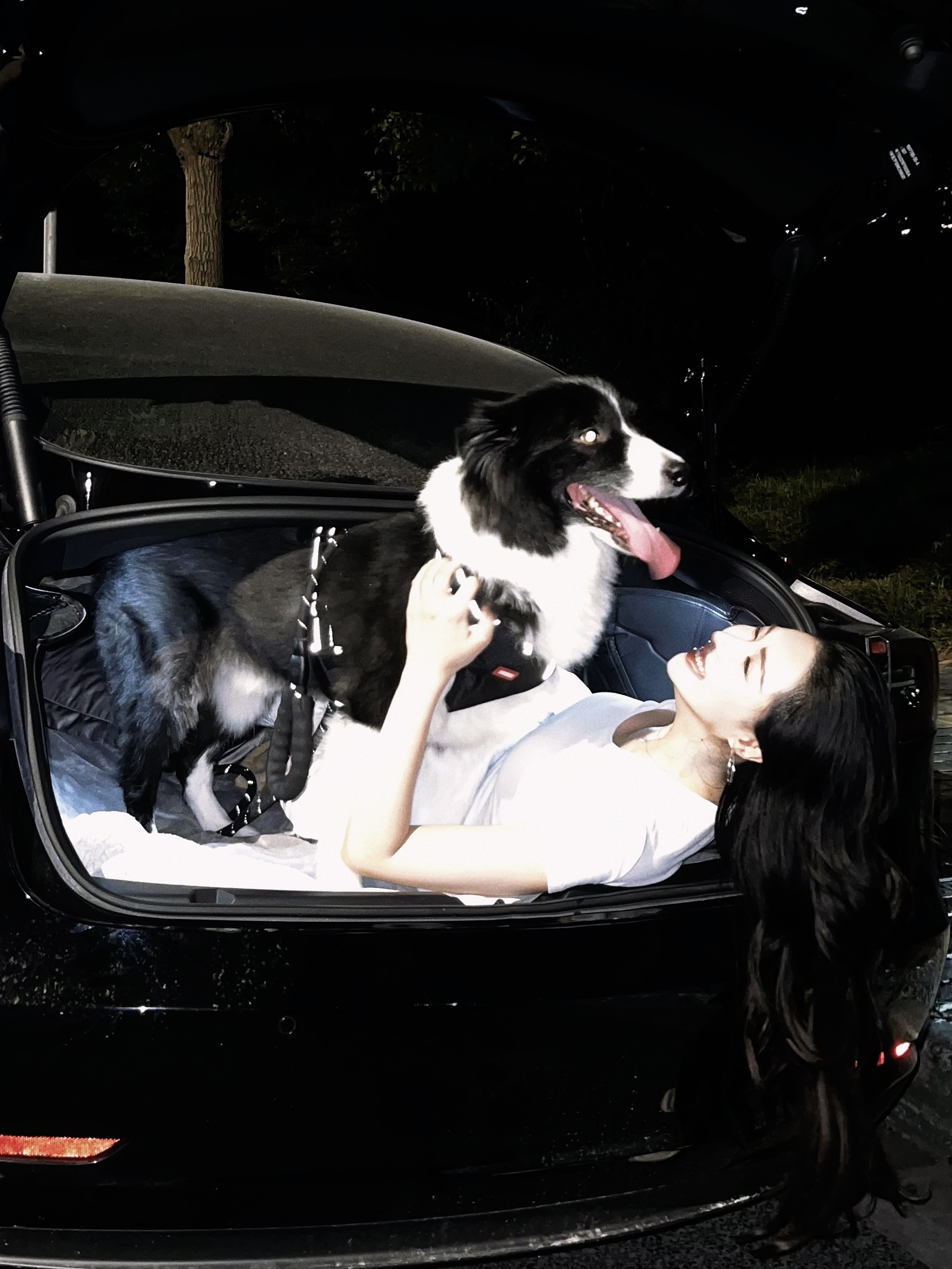 带Na少床车露营⛺️被追着问这是明星小狗吗？ 谁懂女生养边牧有多帅😎
带Na少出来床车露营⛺️
拍照的时候被好几个路人问你这是明星小狗吗？
作为狗妈的那颗骄傲的心一下子上来了，嘴里说着不是不是…心里…你们懂吧…乐开花🌸🫰🏻（心想真有眼光）
瞧瞧姐花50布置的特斯拉model3大床房～有点意思吧[萌萌哒R]@汽车薯 @宠物薯
#宠物坐车初体验 #我的宠物是人机 #框住车内小幸福
#边牧 #带着边牧去旅游 #特斯拉model3 #特斯拉 @李富贵和banana