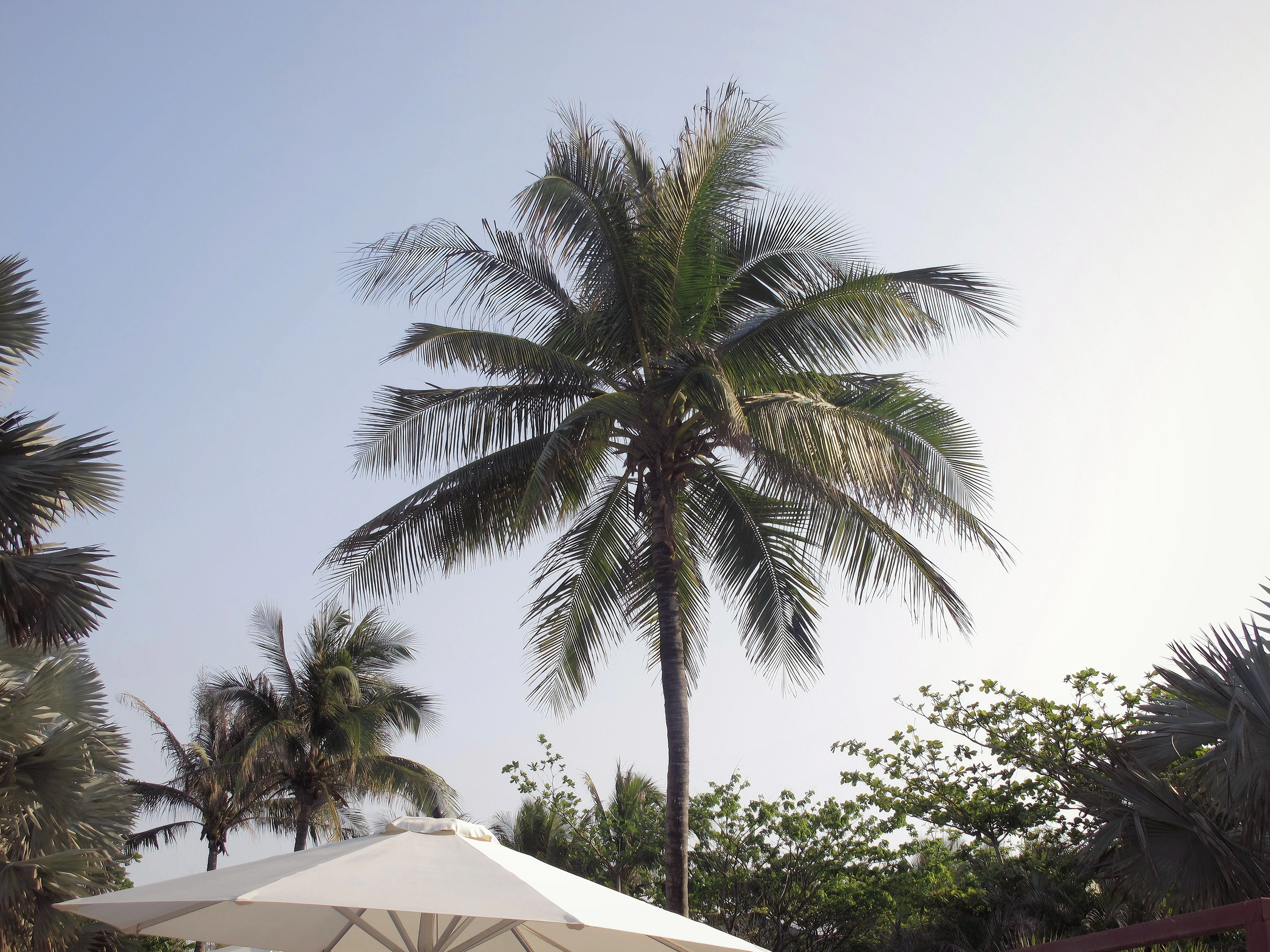 不在清迈🌴在三亚 喜欢好天气🥥
	
#日系 #短发 #来拍照了 #惬意海岛生活 #海边度假 #拍照姿势
#海边拍照 #松弛感 @春春