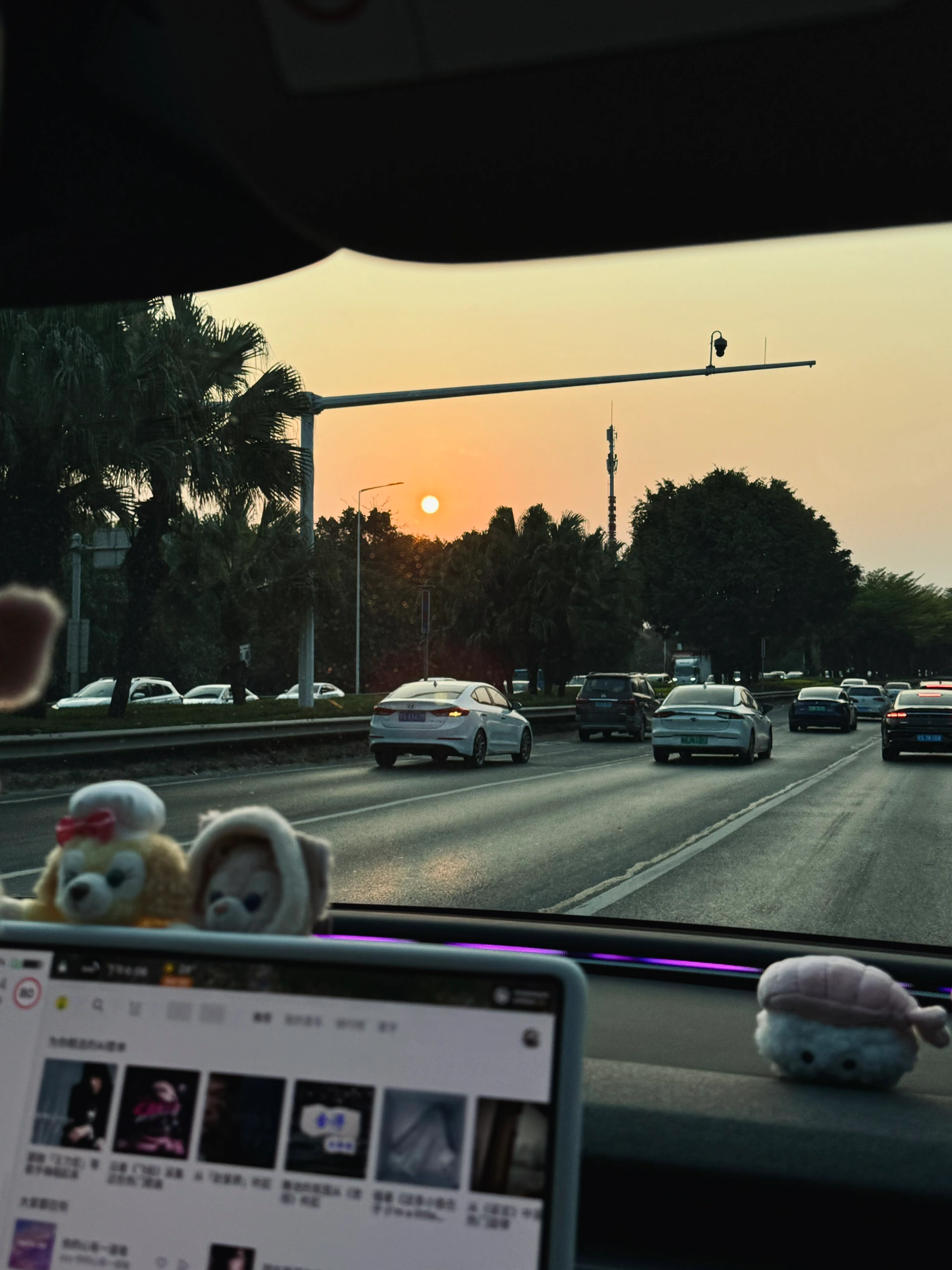 02年特斯拉女车主🚗｜周一Plog 大家好呀 翅翅又来打卡啦～
	
如果你赶不上凌晨五点的日出🌄
不妨看看傍晚六点的夕阳🌇
我的意思是
任何时间都不晚
#日落爱好者 #model3 #一人一件车载好物 #特别心动的车 #女孩子的车内饰 #开车当然要记录 #好好生活满电出发 @翅翅猛打方向盘