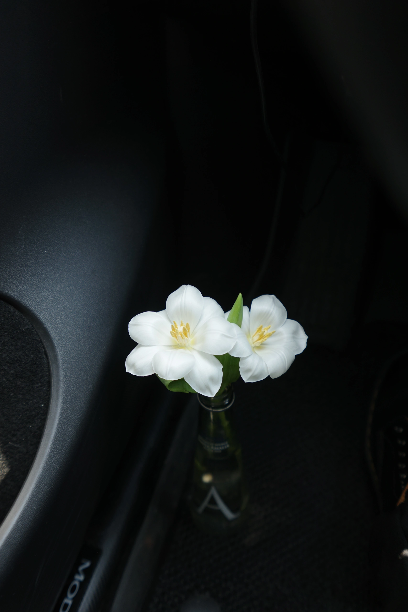 🔴Tesla｜周末晴天 去找春天 有阳光的周末，
连呼吸都变得美妙。
	
装上新入的手机支架，
周末打算带上家人去郊游，
自带无线快充，狂抖不掉，
郊游就可以边充电边导航。
	
和家人一起去感受春风拂面，
看看飞鸟鱼虫、花花草草，
短暂的融入自然🪁🫧🧺
	
#汽车博主 #赴一场春天的约 #特斯拉 #特斯拉modely#一人一件车载好物 #女生车内饰#每天都有值得记录的瞬间 #氛围感车内饰 @➰YY.