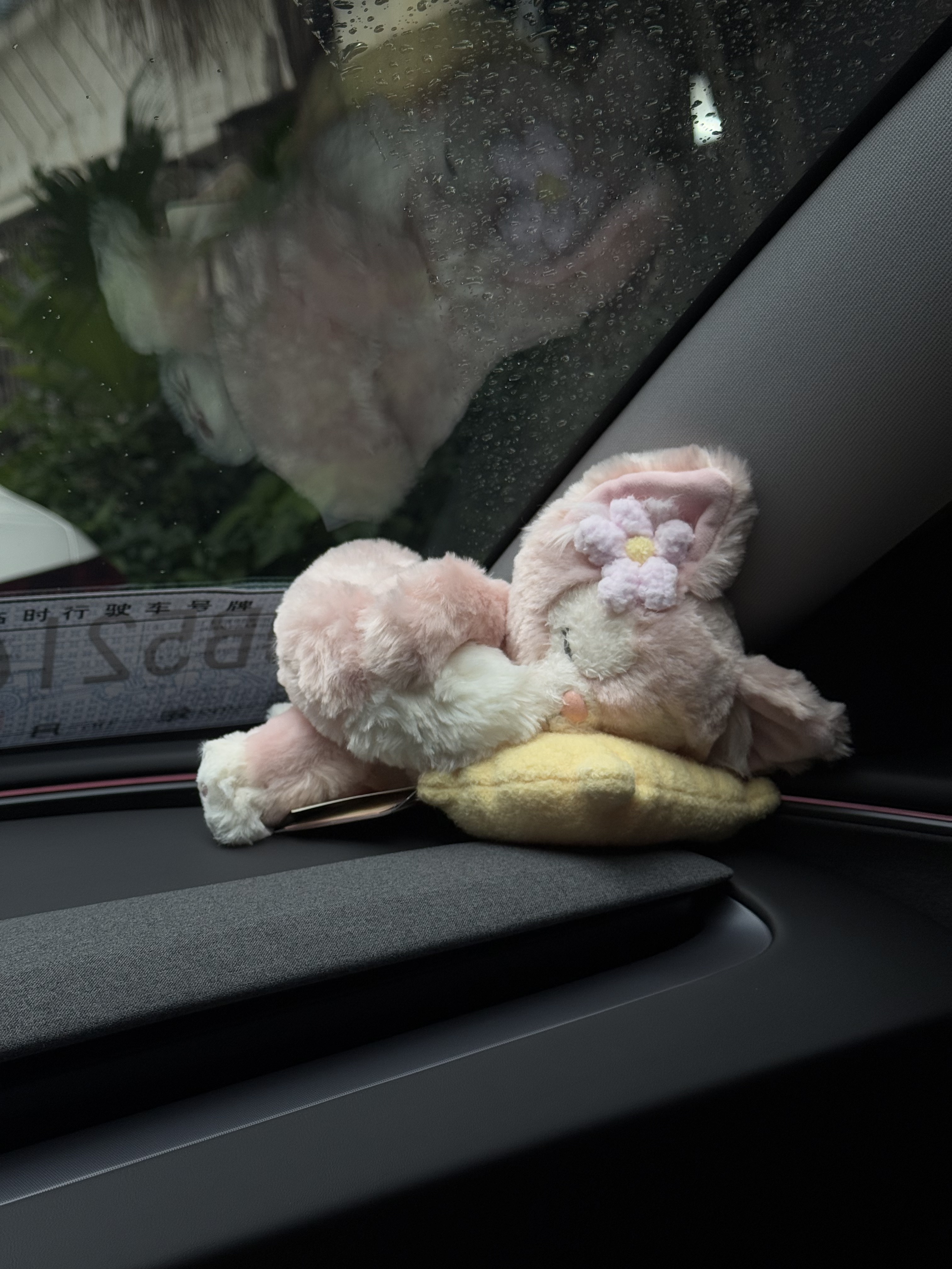 22岁 拿下自己的第一台电车🕶️ Timeline：4.27下定 5.10在深圳赤湾交付中心交付～
原本以为还好 但加上深圳死贵的保险 还选了两年延保➕贴膜 还有贴车衣 本月已花费10w➕ 还没算上改色…hhh
不过还好充电便宜➕免息 终于有了属于自己的车了！！非常开心嘻嘻🥰在车上放着自己的歌单别太爽了 今日已经跑了三十公里➕
希望海绵女士以后也能继续勇敢的做自己的大女主✌️
#Tesla #特斯拉model3 #model3 #提车 #提车仪式 @莱茵河上风