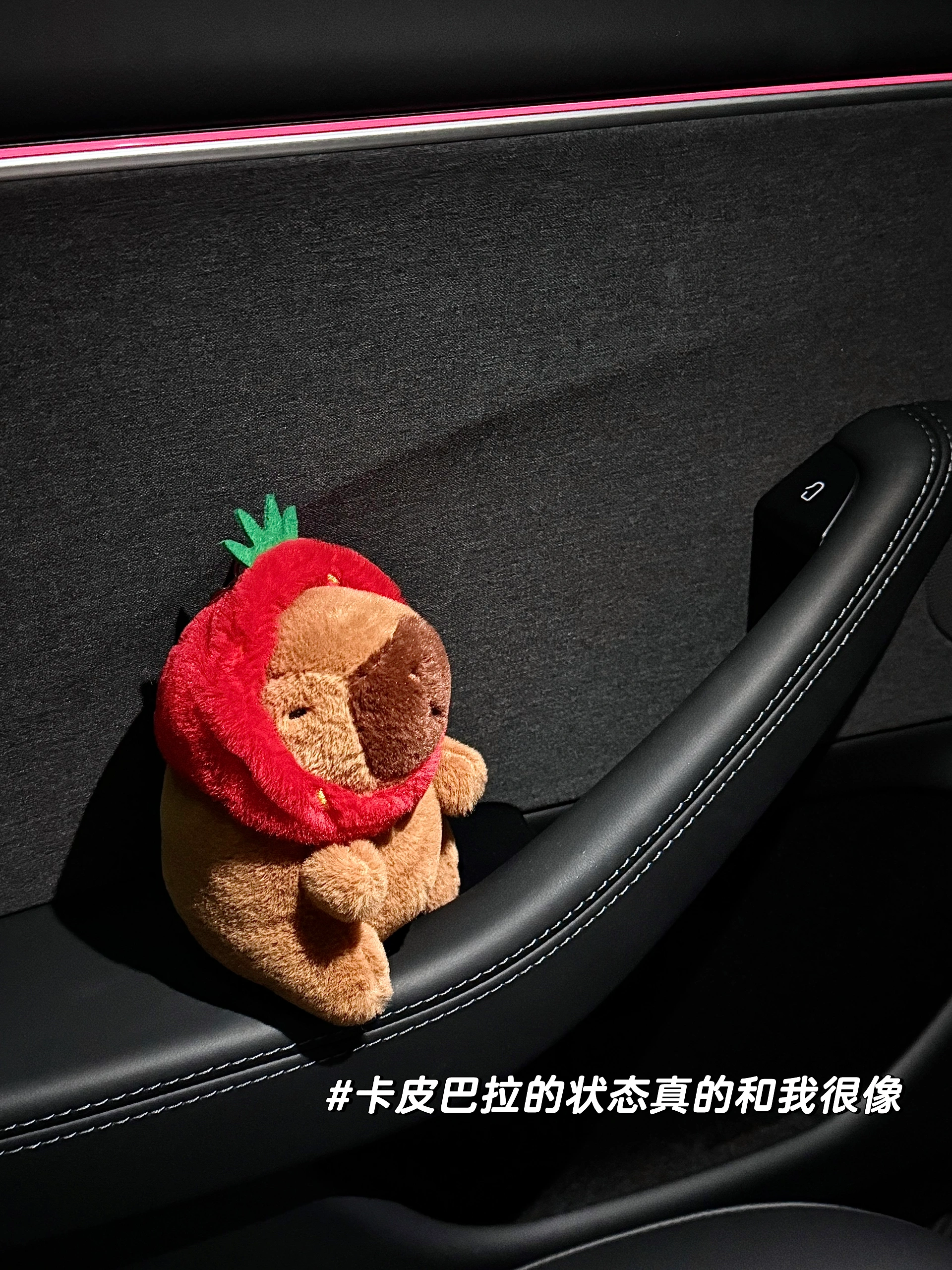 特斯拉…🐶都不 买！买的就是特斯拉！
买了之后你会发现特斯拉的女车主可以漂亮到什么程度😊
（顺带偷偷夸自己[喝奶茶R]）#ootd #女生的车 #特斯拉 @元气吴少女