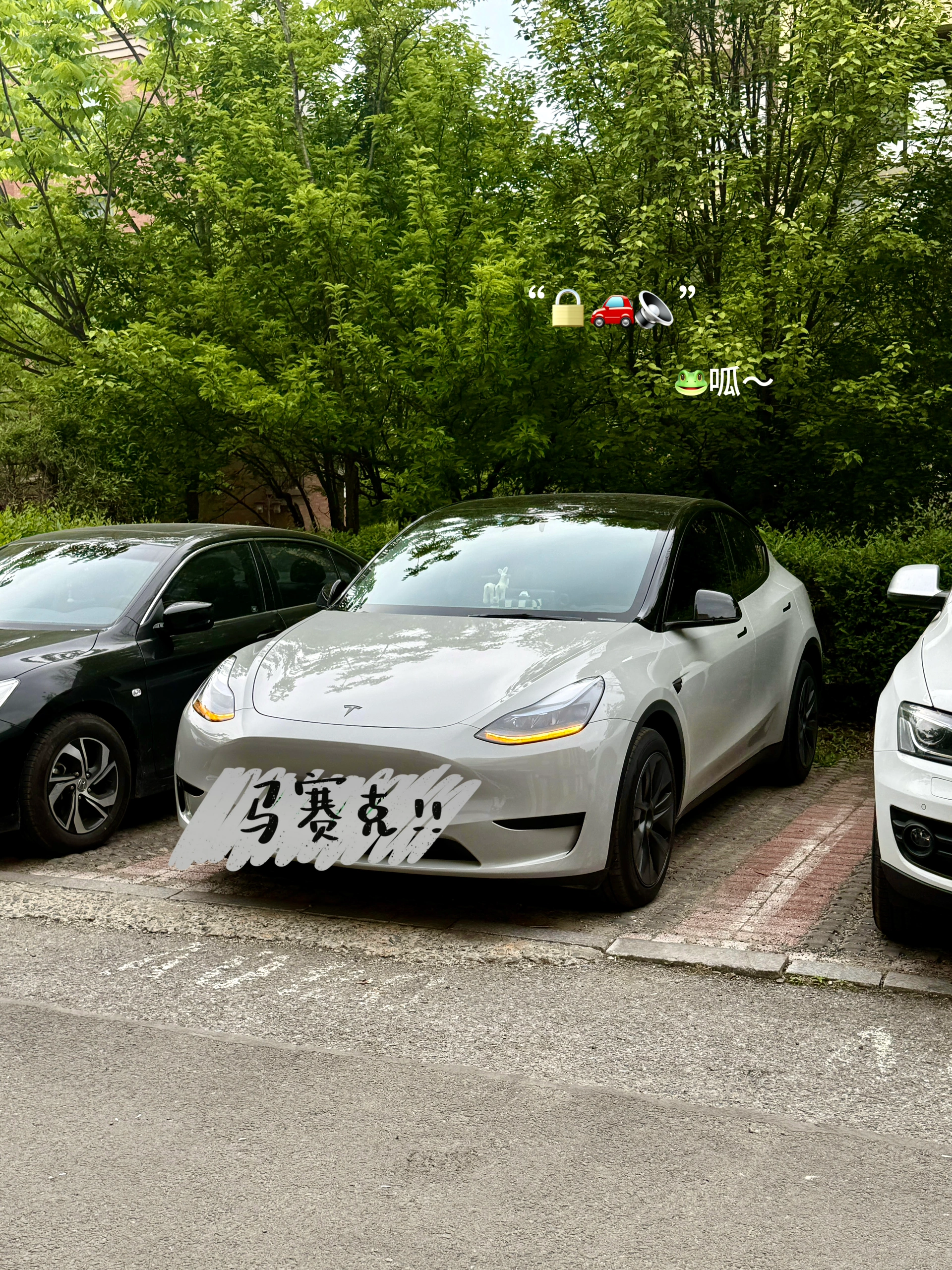 特斯拉女车主｜分享最近入手的车载好物们🚗 🫢谁懂啊！开过特斯拉，彻底对其他车无感了！
忍不住拍桌喊话：20-30W电车天花板真的非它莫属！
从性能到颜值，真！开过就回不去的科技狠活💯
	
📝分享一波颜值&实用兼具的车载好物：
	
1️⃣cybertruck赛博卡套
超酷的！谁懂！！😎特斯拉车主专属身份标志～平平无奇的小卡片瞬间高大上，科技感拉满💯，随手一扔都是道风景线，不用担心存在感弱找不到了！
	
2️⃣天窗遮阳帘
大天窗虽酷，但38℃高温下秒变炼丹炉🔥夏日刚需保命结界
	
3️⃣无极乌龙车载香熏
巨好闻的木质柑橘调香挂，用了小半年还是香香的！
	
4️⃣隐形收纳王者
屏幕后收纳盒日常使用率No.1~墨镜/口红/手机都有了专属小窝~中控台告别杂物山！
	
5️⃣可爱狗子屏幕装饰+纸巾盒
提升车内氛围感，女生车里就要可可爱爱~
	
6️⃣水杯架
材质软硬适中，非常贴合，放水杯咖啡杯稳稳不晃防异响
	
7️⃣屏幕保护套
壳膜一体手残党友好，颜值也很nice~
	
✨其它好物比如头枕、腰靠、中控收纳、香香好物…
大家可以翻翻之前的笔记👀，后续挖到好物再来分享💡
	
#我的车生活 #汽车博主 #汽车博主日常 #特斯拉modelY #特斯拉女车主 #一人一件车裁好物 #特斯拉车载好物 #modelY车主日记 #女生车里有什么 #汽车内饰分享 #年度幸福感好物 #值得入手的车 #车载好物 #特斯拉卡套 #赛博卡套 #特斯拉周边好物 #cybertruck卡套 #汽车好物 #车载好物 #特斯拉改色 #特斯拉遮阳帘 #特斯拉收纳 #特斯拉内饰 #特斯拉内饰 #特斯拉配件 #高颜值汽车好物#我心爱的小角落 #Allin我自己 @歪歪在成长