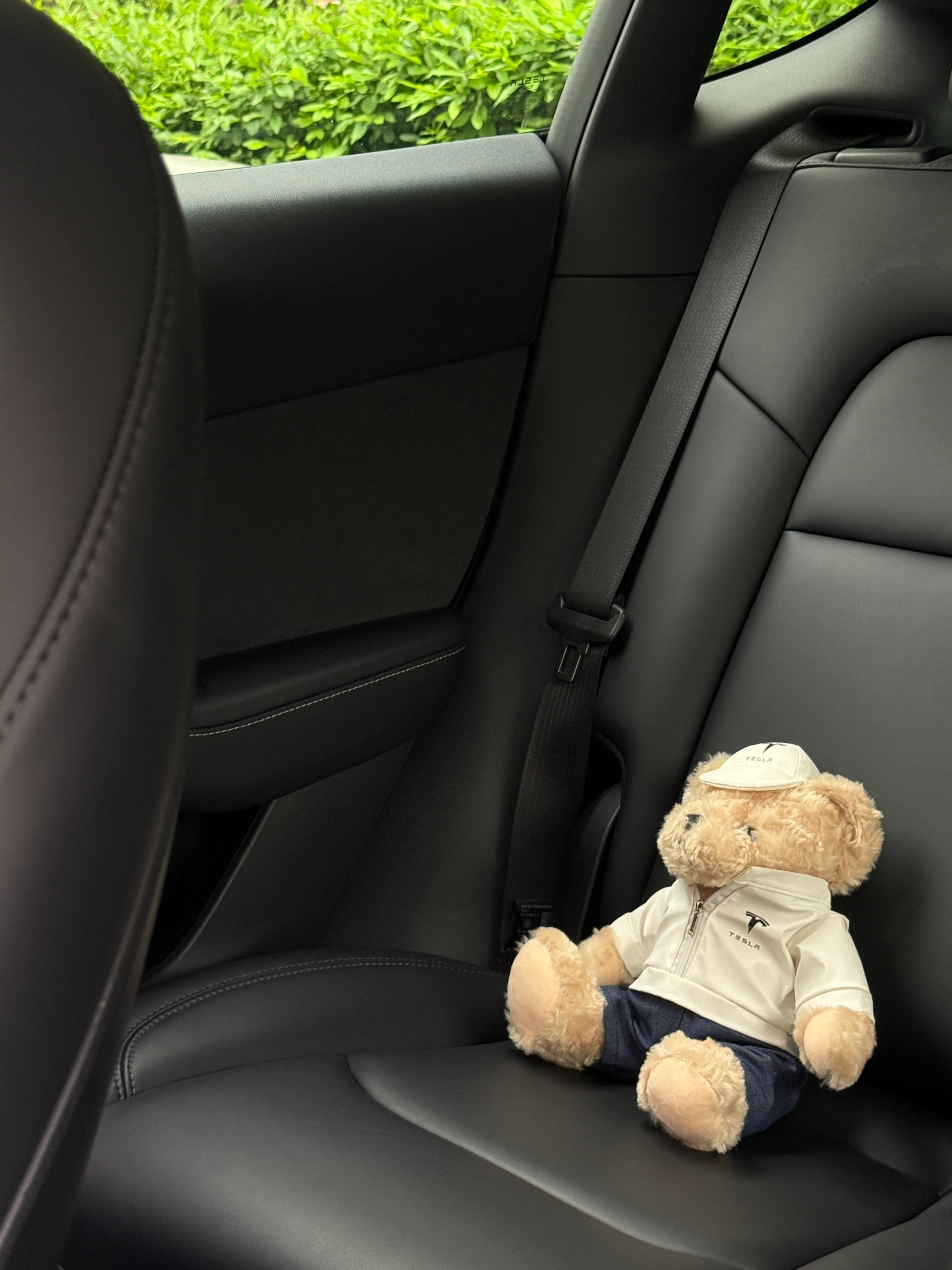 特斯拉女车主｜分享最近入手的车载好物们🚗 🫢谁懂啊！开过特斯拉，彻底对其他车无感了！
忍不住拍桌喊话：20-30W电车天花板真的非它莫属！
从性能到颜值，真！开过就回不去的科技狠活💯
	
📝分享一波颜值&实用兼具的车载好物：
	
1️⃣cybertruck赛博卡套
超酷的！谁懂！！😎特斯拉车主专属身份标志～平平无奇的小卡片瞬间高大上，科技感拉满💯，随手一扔都是道风景线，不用担心存在感弱找不到了！
	
2️⃣天窗遮阳帘
大天窗虽酷，但38℃高温下秒变炼丹炉🔥夏日刚需保命结界
	
3️⃣无极乌龙车载香熏
巨好闻的木质柑橘调香挂，用了小半年还是香香的！
	
4️⃣隐形收纳王者
屏幕后收纳盒日常使用率No.1~墨镜/口红/手机都有了专属小窝~中控台告别杂物山！
	
5️⃣可爱狗子屏幕装饰+纸巾盒
提升车内氛围感，女生车里就要可可爱爱~
	
6️⃣水杯架
材质软硬适中，非常贴合，放水杯咖啡杯稳稳不晃防异响
	
7️⃣屏幕保护套
壳膜一体手残党友好，颜值也很nice~
	
✨其它好物比如头枕、腰靠、中控收纳、香香好物…
大家可以翻翻之前的笔记👀，后续挖到好物再来分享💡
	
#我的车生活 #汽车博主 #汽车博主日常 #特斯拉modelY #特斯拉女车主 #一人一件车裁好物 #特斯拉车载好物 #modelY车主日记 #女生车里有什么 #汽车内饰分享 #年度幸福感好物 #值得入手的车 #车载好物 #特斯拉卡套 #赛博卡套 #特斯拉周边好物 #cybertruck卡套 #汽车好物 #车载好物 #特斯拉改色 #特斯拉遮阳帘 #特斯拉收纳 #特斯拉内饰 #特斯拉内饰 #特斯拉配件 #高颜值汽车好物#我心爱的小角落 #Allin我自己 @歪歪在成长