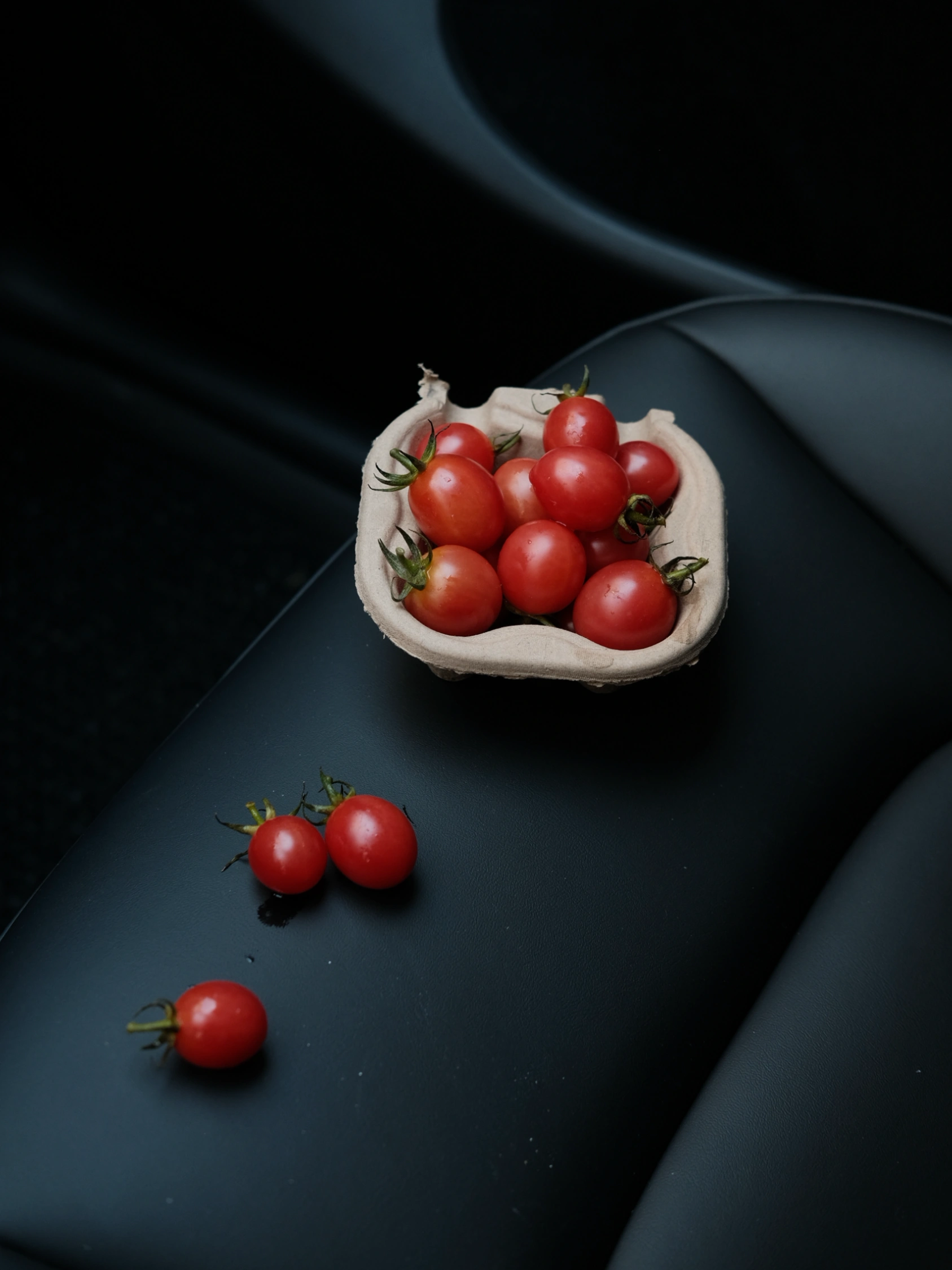 🤍TESLA｜夏日限定·车里小确幸🍒 #特斯拉
#特斯拉女车主
#车内拍照
#定格车内氛围感
#女生车里有什么
#女生车内饰
#车载好物
#富士直出
#特斯拉modely
#plog @张张在生活