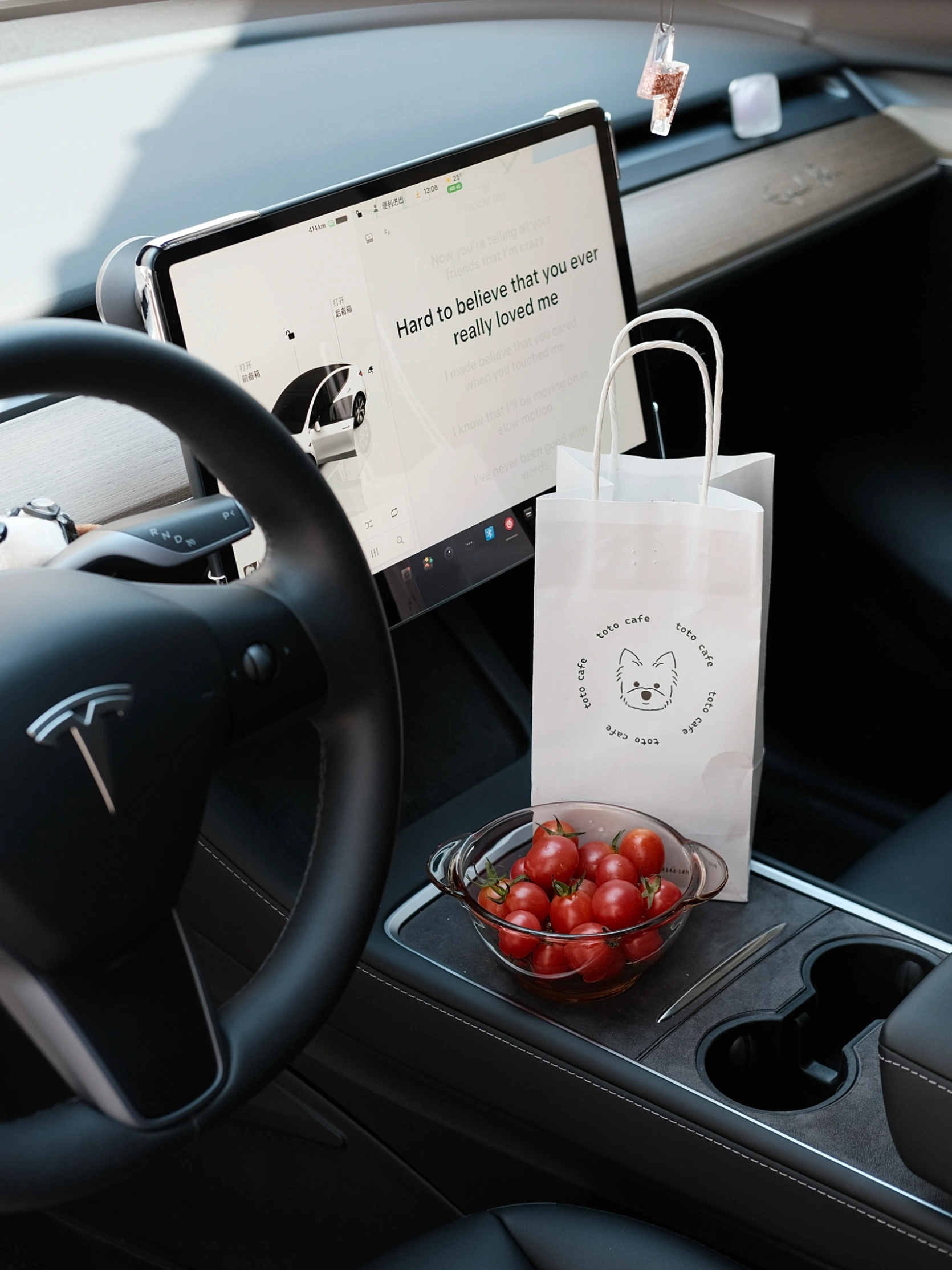 🤍TESLA｜夏日限定·车里小确幸🍒 #特斯拉
#特斯拉女车主
#车内拍照
#定格车内氛围感
#女生车里有什么
#女生车内饰
#车载好物
#富士直出
#特斯拉modely
#plog @张张在生活