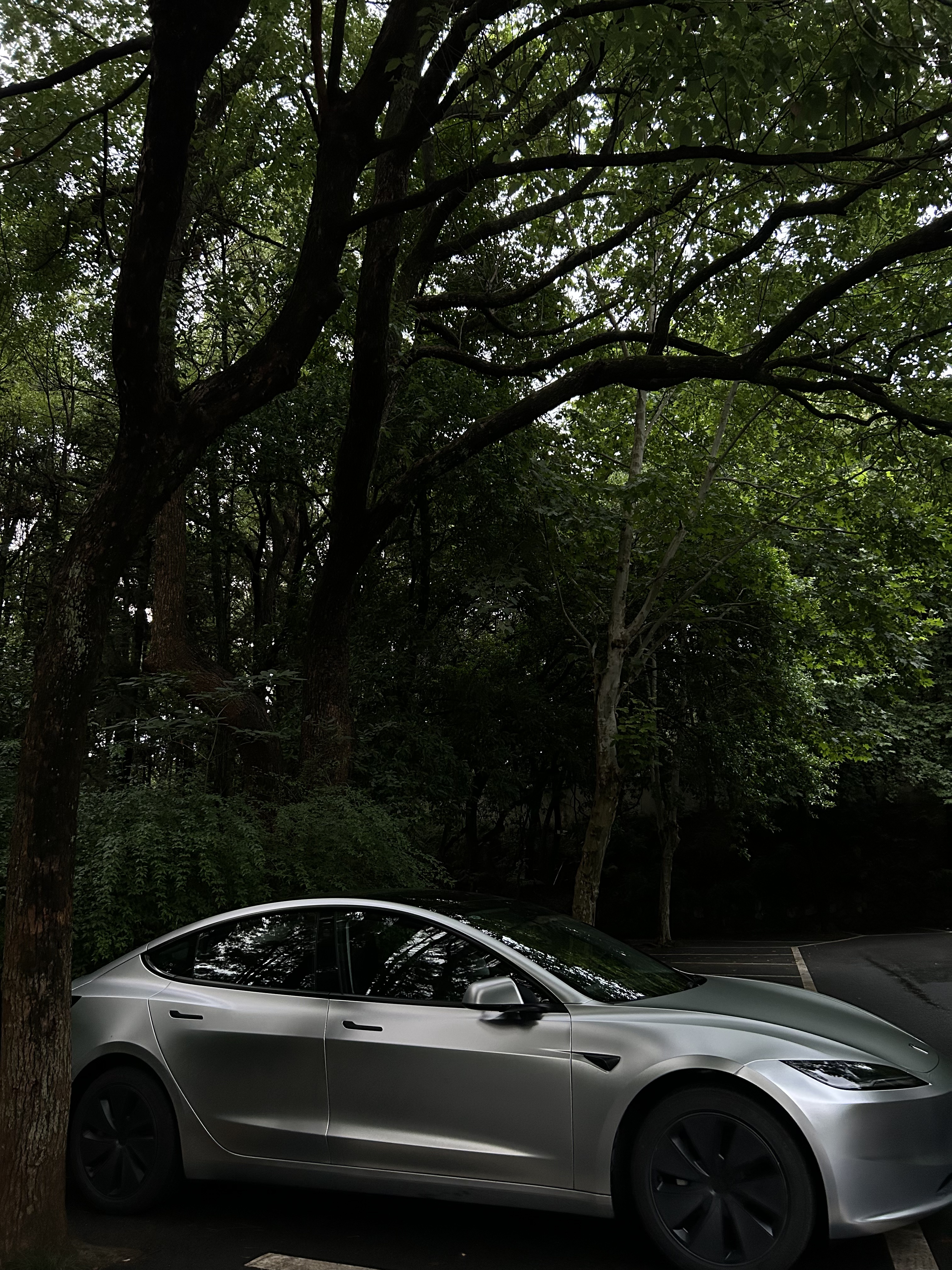 贴完膜的那一刻都值了 朋友说我提车拍的像广告一样！
这个颜色和下雨天也太配了点
天晴🌞是哑光的，下雨🌧️是镭射的
#tesla
#Model3
#是我的梦中情车 @KALIA