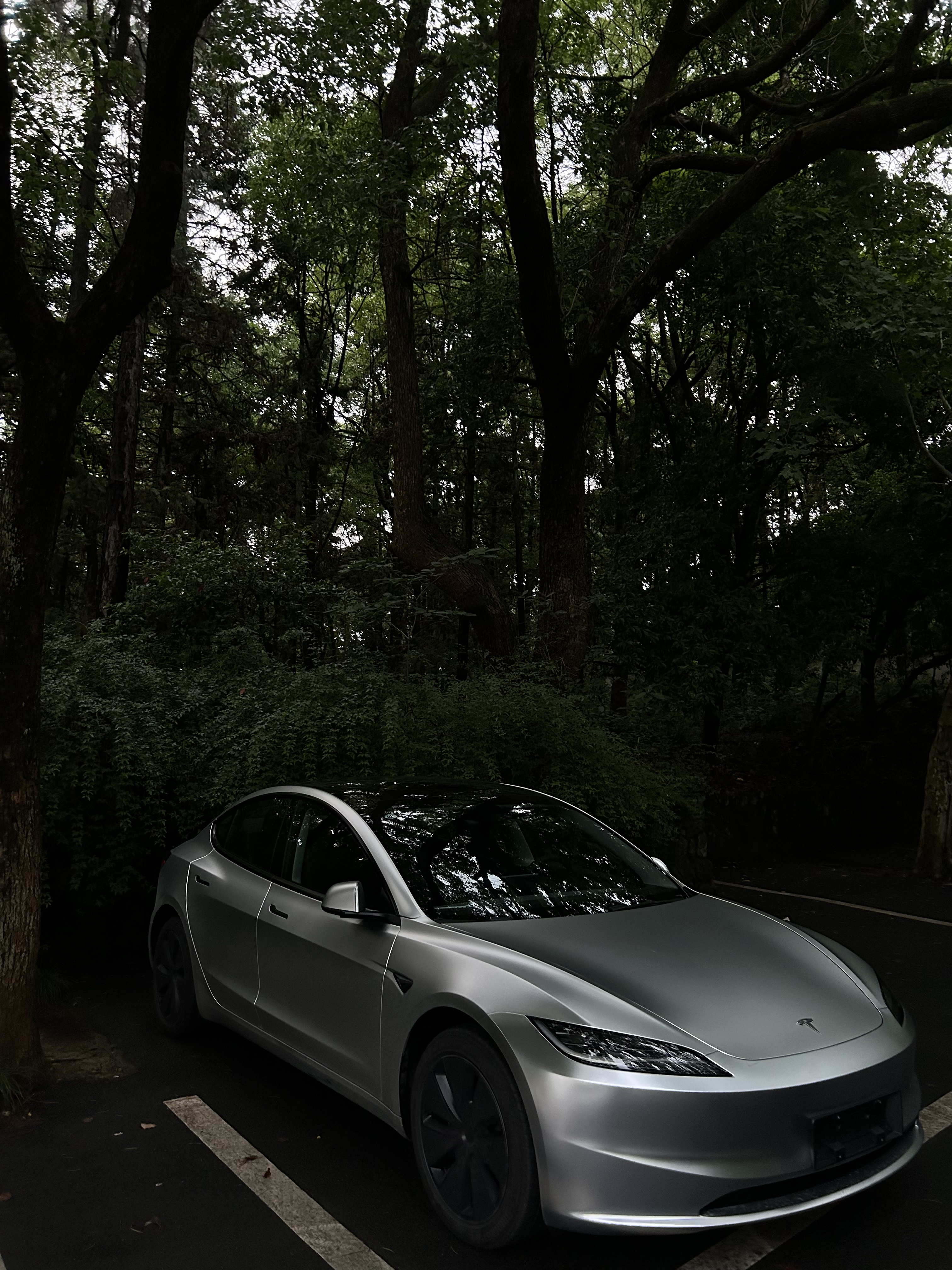 贴完膜的那一刻都值了 朋友说我提车拍的像广告一样！
这个颜色和下雨天也太配了点
天晴🌞是哑光的，下雨🌧️是镭射的
#tesla
#Model3
#是我的梦中情车 @KALIA