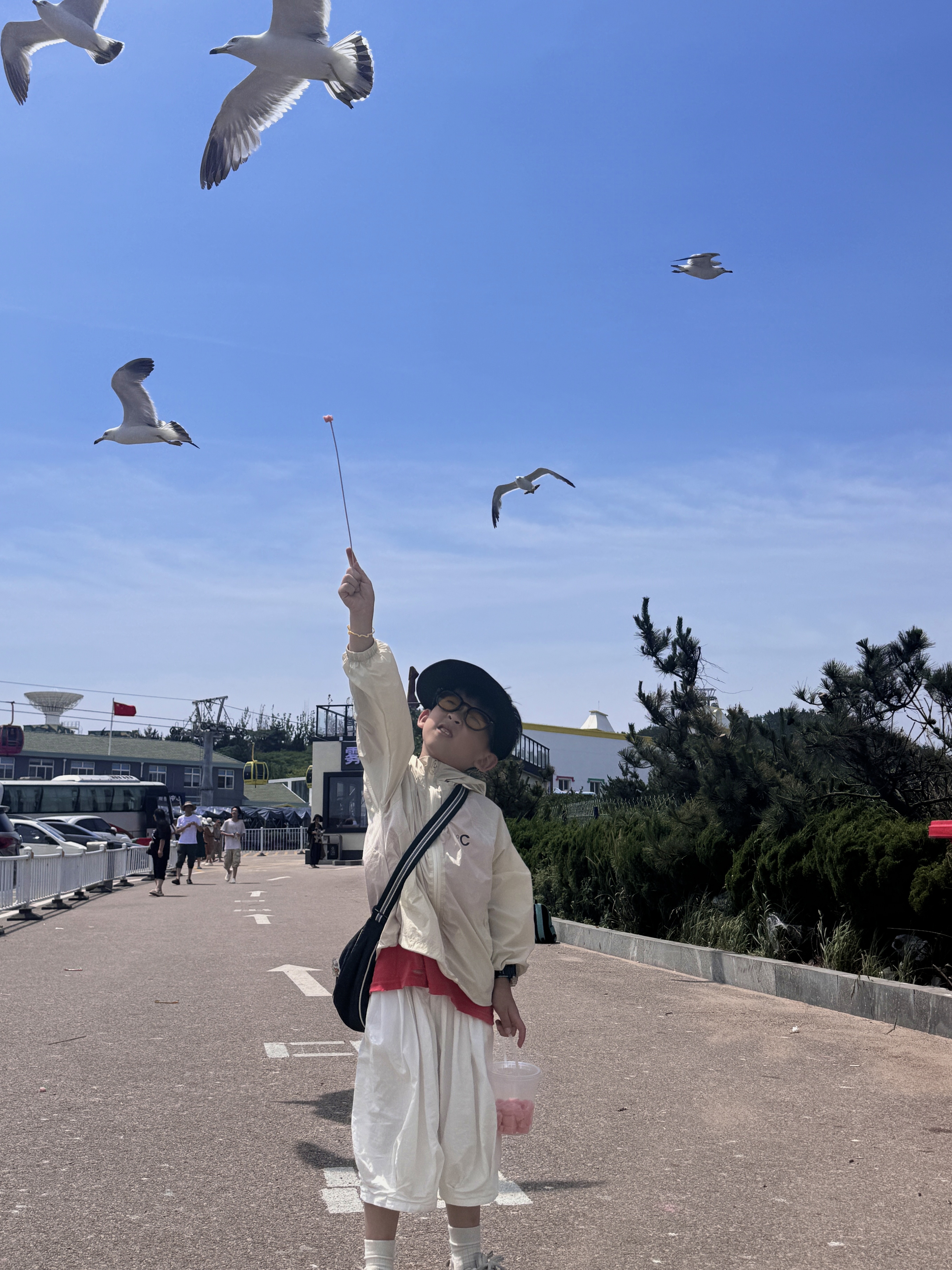 特斯拉女车主｜生活是自己的  每天都是自由 威海站📍WEI HAI• BLUEWAYS.
	
因为抖音的一个视频———搁浅的布鲁维斯号
拉上我的旅游搭子说走就走
日升月落 总有黎明⛴
#记录吧就现在 #生活在别处自由在路上 #或许自由更甚一筹 #出发永远比向往更有意义 #多看大自然少与人纠缠 #浪漫生活的记录者 #好好生活满电出发 #威海 #这世界的一切都在吸引我 #少与人纠缠多看大自然 @何子