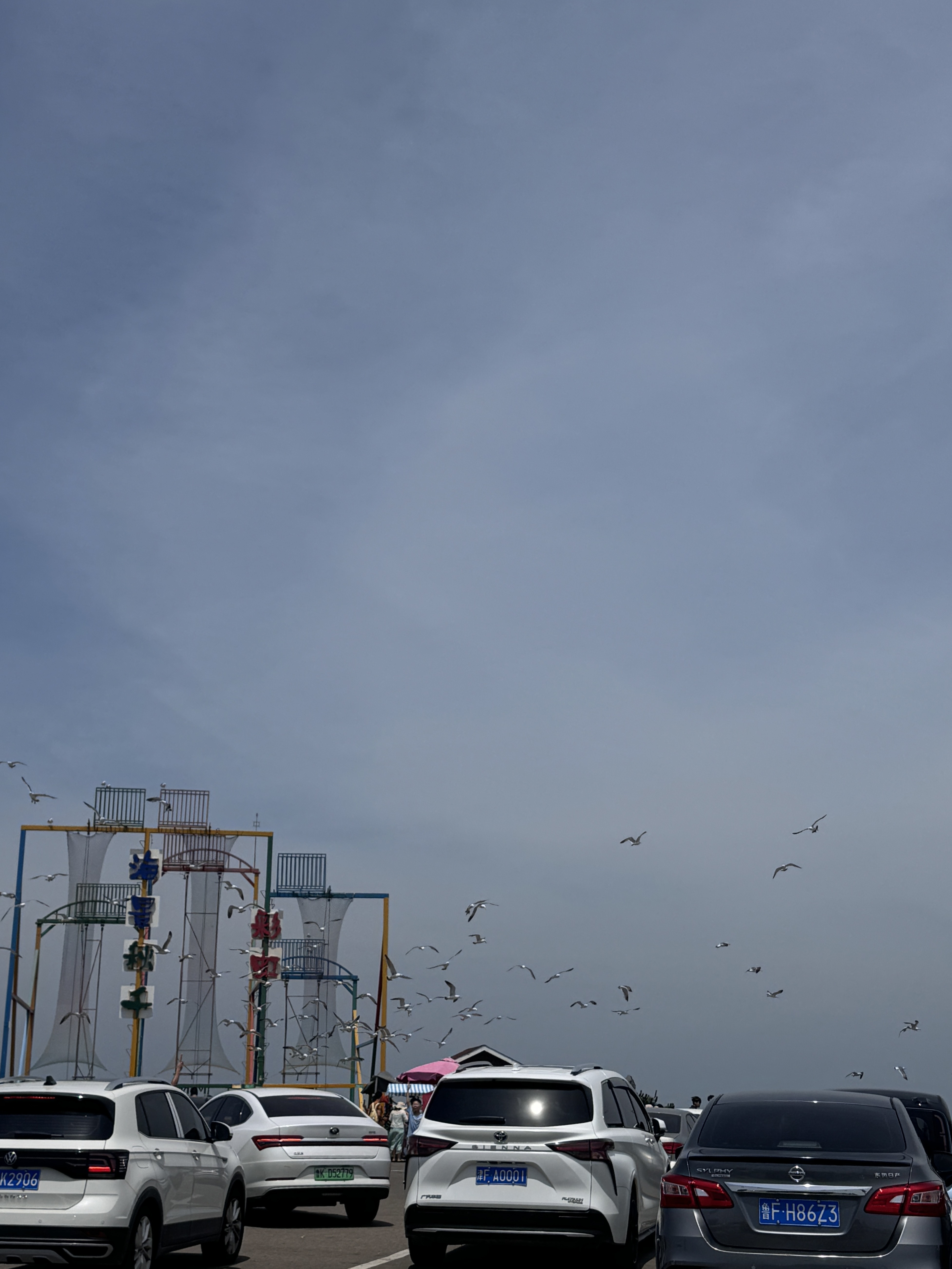 特斯拉女车主｜生活是自己的  每天都是自由 威海站📍WEI HAI• BLUEWAYS.
	
因为抖音的一个视频———搁浅的布鲁维斯号
拉上我的旅游搭子说走就走
日升月落 总有黎明⛴
#记录吧就现在 #生活在别处自由在路上 #或许自由更甚一筹 #出发永远比向往更有意义 #多看大自然少与人纠缠 #浪漫生活的记录者 #好好生活满电出发 #威海 #这世界的一切都在吸引我 #少与人纠缠多看大自然 @何子