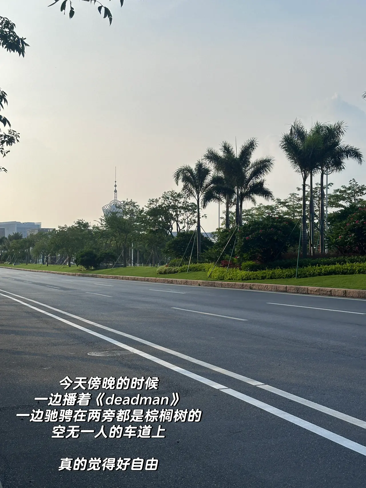 01年大厂女喜提新车|第一次掌握人生方向盘 几个月前付定金的时候,我连驾照都没拿到。
四年前,在我大二暑假时,
因为不想在炎炎夏日练车和在驾校受气,
考试资格都过期了也没把驾照考下来。
当时想着靠打车和公共交通就可以解决日常需求,
结果现在工作去了个坐高铁很不方便,
但开车1h内能串联整个大湾区的城市。
这让我下定决心必须把驾照给马上考了。
原来特别恐惧考驾照和上路的我,
如今居然也开了快上千公里了:
从盘山山路、沿海高速,
到高楼林立的CBD和电鸡成群的城区。
今天下午独自一人坐在车上,握着方向盘,
听着kunkun的新歌《deadman》
在夕阳下两旁都是棕榈树的空无一人的车道上奔驰,
那一刻真的觉得,好自由。
经济独立、会开车——
这两件事第一次让我觉得,
自己是一个真正掌握人生方向的成年人了。
本科那会儿,我的活动范围不会超过家附近几公里。
每天上课、写作业,周末就去商场吃喝玩乐。
至于车?
坐别人的副驾不挺好吗,为什么要自己开?
我当时真的就是这么想的。
直到我学会开车,
我才意识到我的生活半径一下子被扩张了。
我可以决定要去哪里、什么时候出发、哪条路最舒服;
我必须全神贯注地为自己和路上的每一个人负责。
还让我惊讶的是:
自从自己开车才发现——
主驾驶的风景,真的和副驾驶完全不一样。
同一条路,因为视角不同,带来的体验截然不同。
我才意识到,道路景观设计,本就是为主驾驶而设的。
其实人生何尝不是如此。
很多生活和工作的场景,
只有你坐在“主驾驶”位置,
才能拥有真正的视野、节奏与选择权。
工作也是。
三年前,我是一个对未来毫无方向、每天混日子的大学生。
当时身边人都在劝我:“不用那么努力啦,有什么意义呢?”
但我不甘心就这样混下去。
于是我一个人拖着行李去了外地实习,
一边适应陌生的城市节奏,
一边试图在工作中找到属于自己的位置。
虽然那时候没有什么经验,也经历过很多怀疑人生的时刻,
但我始终觉得:比起原地不动,我更害怕的是对生活永远都没有掌控权。
现在再看,那个曾经宁愿错过驾照也不愿晒太阳的我,
如今也能独自开过一千公里、穿过无数路口了。
或许没有谁规定长大是什么样子,
但我知道——
把人生的方向盘牢牢握在自己手里,真的会更爽。
下一篇分享一下特斯拉驾驶体验和推荐的配件~
#人生第一辆车#适合女孩子的车 #特斯拉 #喜提爱车 #手握方向盘的女孩 #我的小车日记 #握紧方向盘的第一天 #人生第一辆车 @是白羊Fifi呀