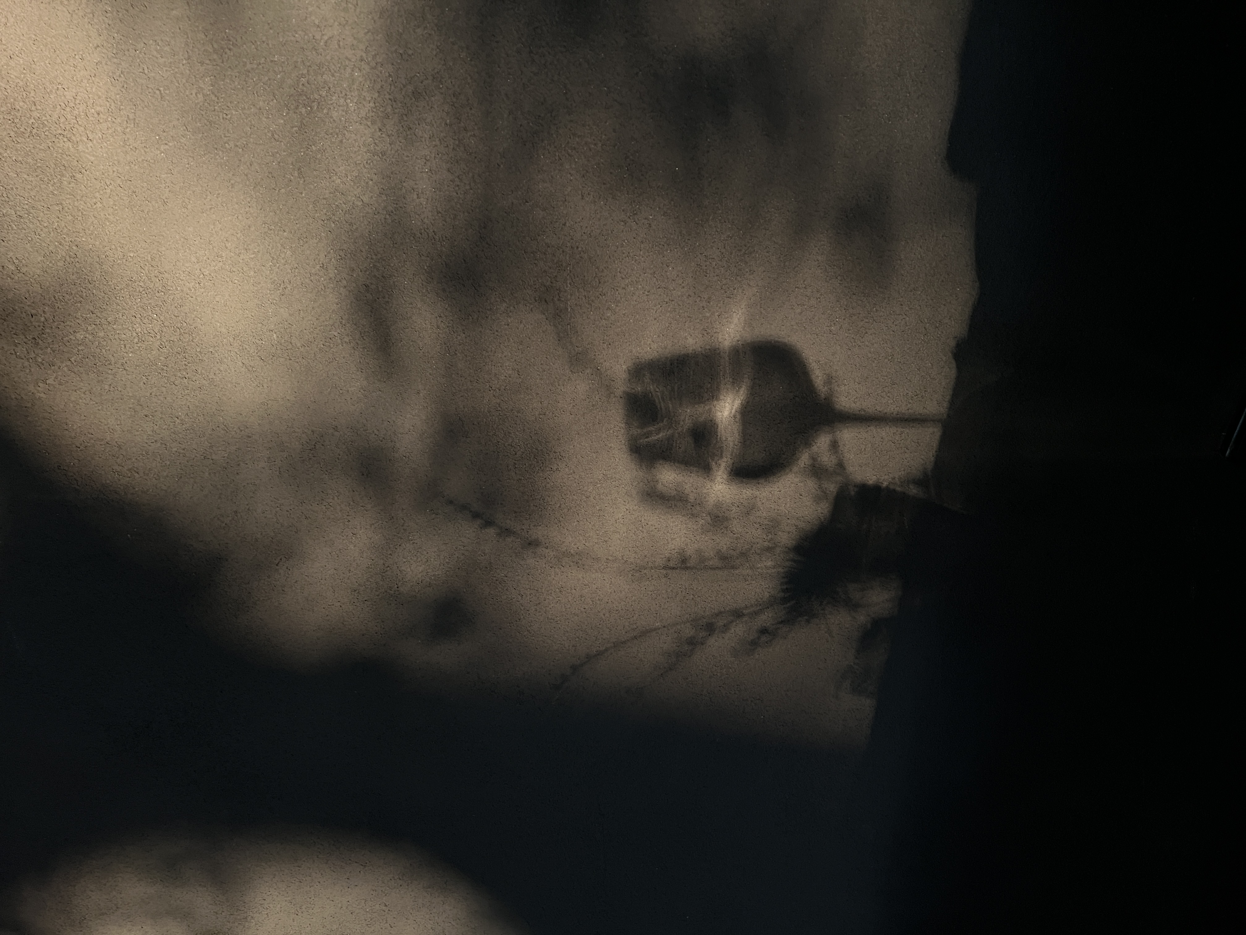 🔴𝚃𝚎𝚜𝚕𝚊｜世界在倒计时，我们也是 每一天都在靠近终点，
每一刻都是限量版。
别等“以后”，
现在就去爱，去疯，去拥抱。
	
落日不会为谁停留，
但我们可以把黄昏烧得滚烫。
倒计时的不是终结，
而是提醒：活着，就要炽热而明亮🌟
	
#日落爱好者 #汽车博主 #特斯拉 #女生车内饰 #特斯拉modely #氛围感车内饰 #特斯拉内饰 #一人一件车载好物 #情绪文案 #女性成长 @➰YY.