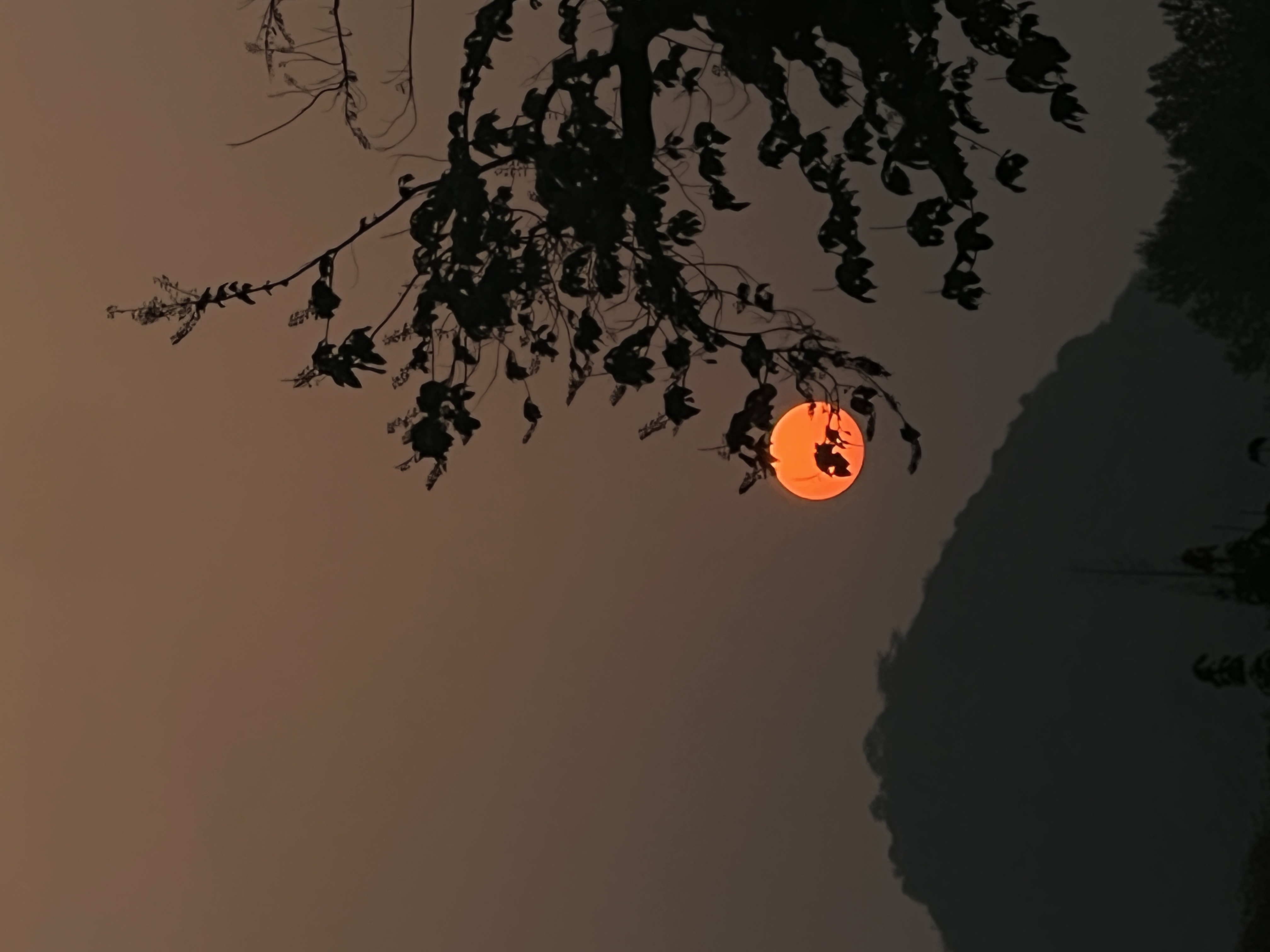 🔴𝚃𝚎𝚜𝚕𝚊｜世界在倒计时，我们也是 每一天都在靠近终点，
每一刻都是限量版。
别等“以后”，
现在就去爱，去疯，去拥抱。
	
落日不会为谁停留，
但我们可以把黄昏烧得滚烫。
倒计时的不是终结，
而是提醒：活着，就要炽热而明亮🌟
	
#日落爱好者 #汽车博主 #特斯拉 #女生车内饰 #特斯拉modely #氛围感车内饰 #特斯拉内饰 #一人一件车载好物 #情绪文案 #女性成长 @➰YY.