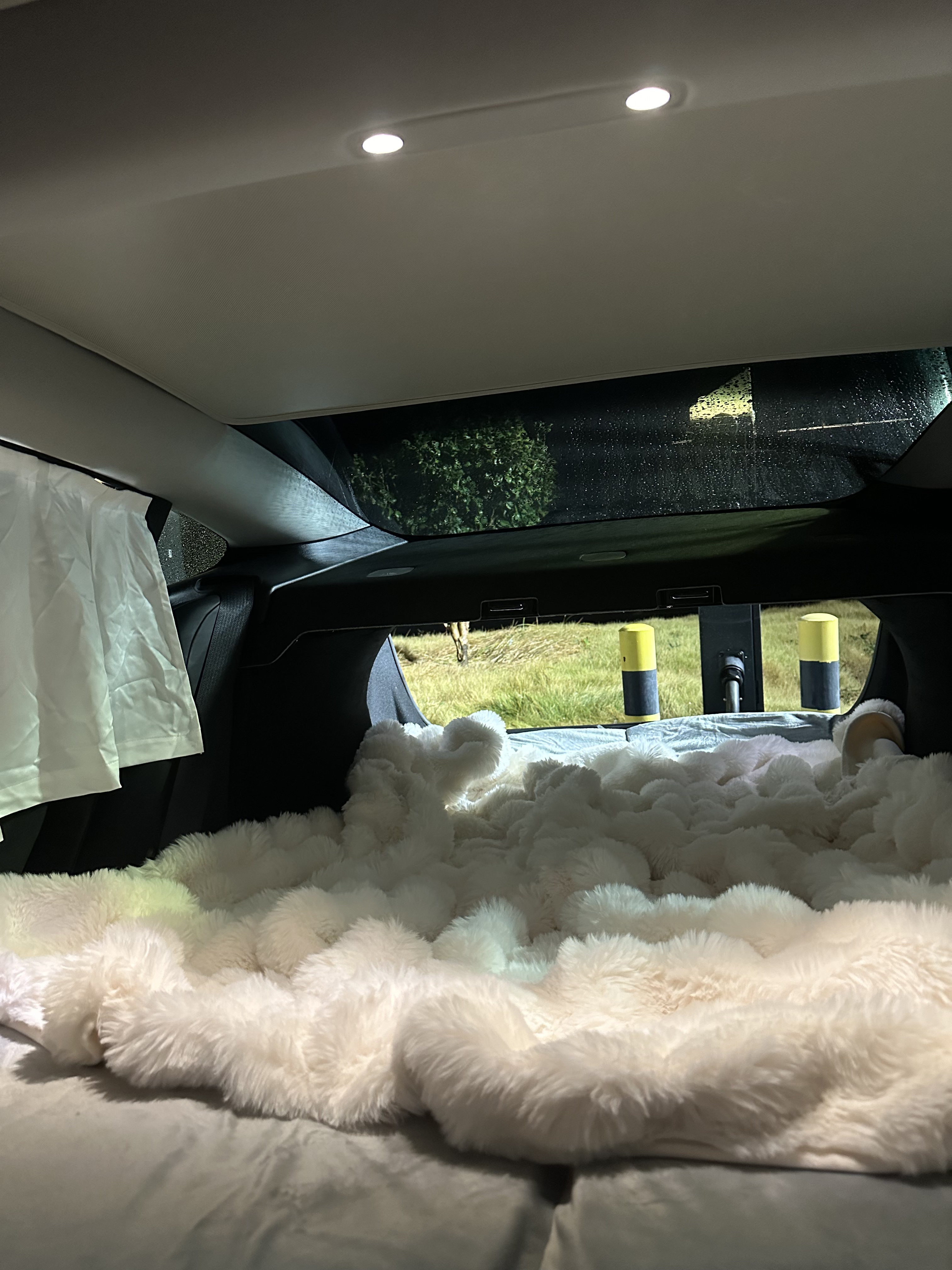 🤍 Tesla女车主的车载好物 特斯拉毛坯改造～
粉白色风格 可可爱爱[紫色心形R]
	
平时也不需要坐太多人
所以后排直接放倒当床车啦～
#特斯拉#model3 #女生车内饰 #车载好物 #特斯拉内饰#迪士尼 @52hertz