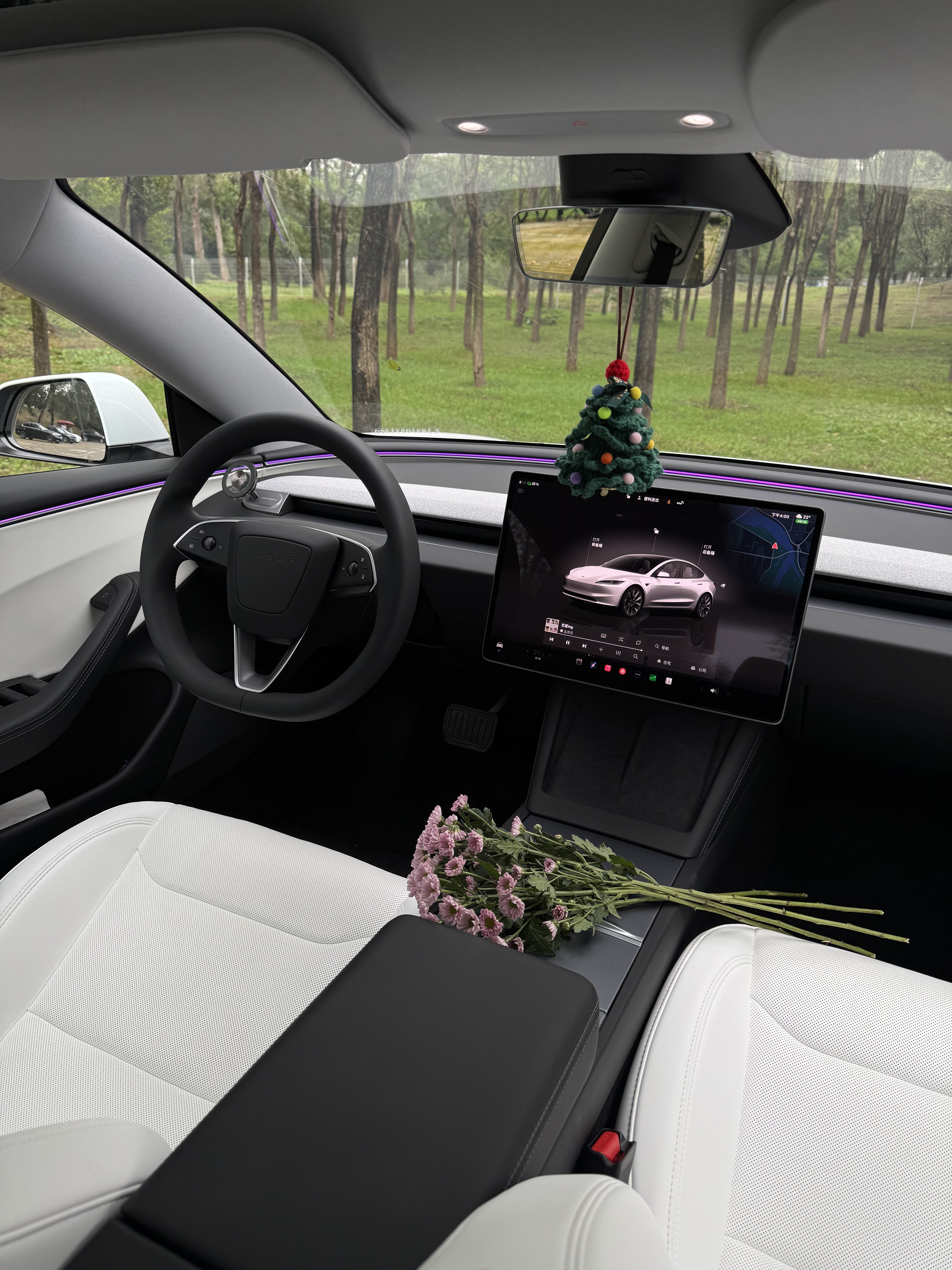 Tesla｜小白真是氛围感满满 有没有人跟我一样
车内就喜欢简简单单
不喜欢那种复杂凌乱的装饰的？[偷笑R]
#今天开车穿什么 #model3 #女生车里有什么 #高级感车内饰 #女生车内饰 #适合女生开的车 #特斯拉 #女生买车 #有车后的生活 #适合通勤的车 @米妮的MINI