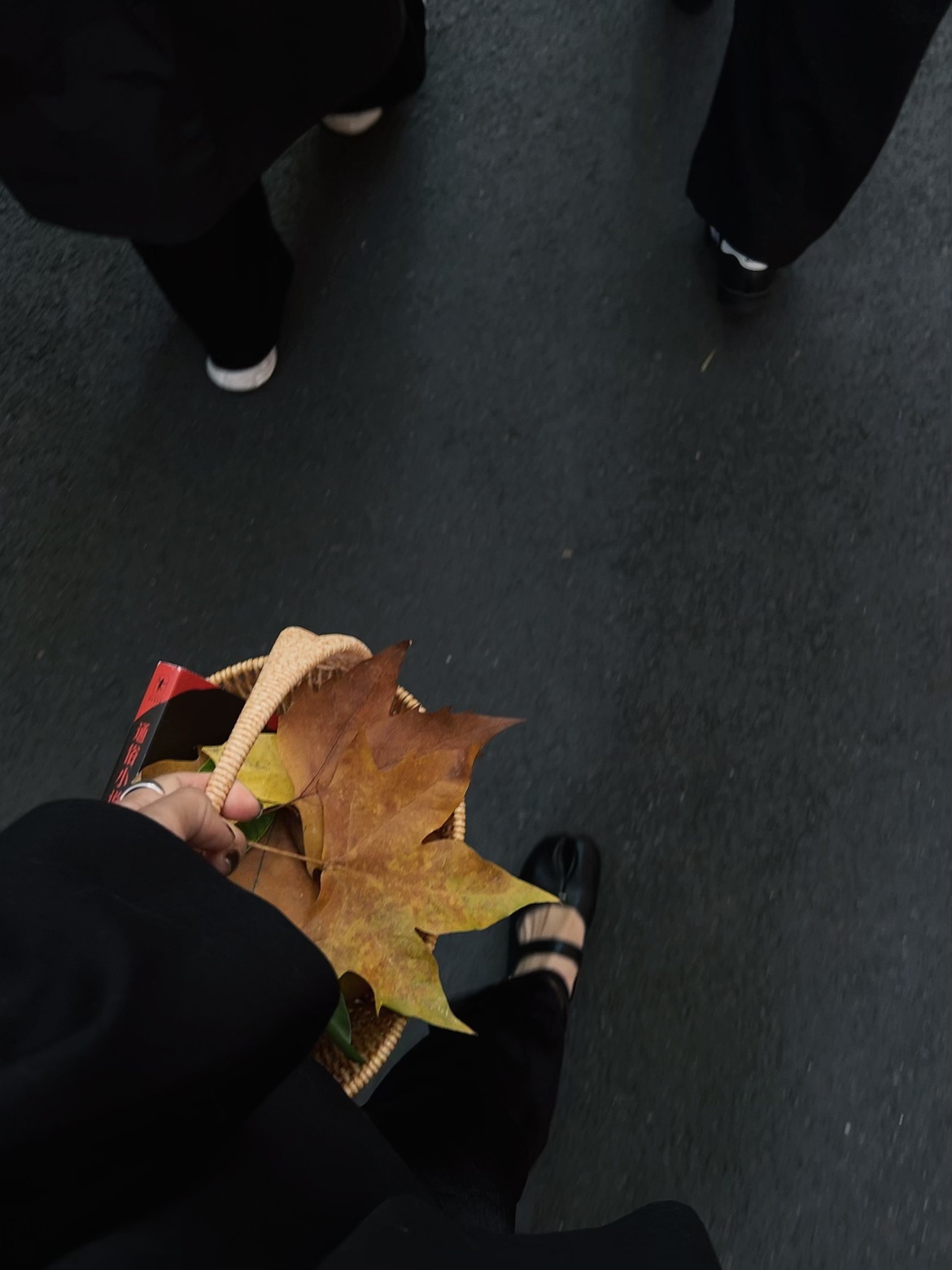 🔴𝚃𝚎𝚜𝚕𝚊｜“秋天的故事 不请自来” 秋风裹着落叶悄悄飘进车里，
故事总是不请自来。
	
#低头捡个秋 #汽车博主 #祝我们都好在秋天 #特斯拉 #女生车内饰 #特斯拉内饰 #一人一件车载好物 #秋日氛围感 @➰YY.