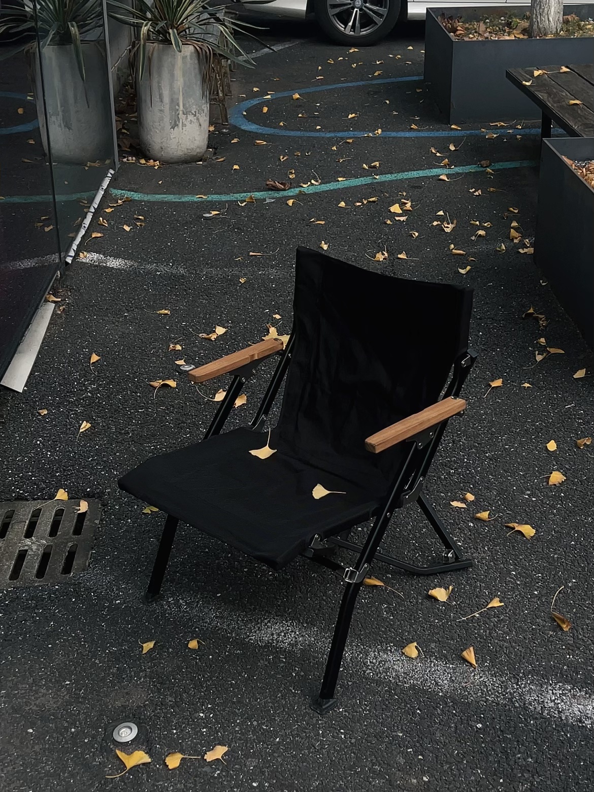 🔴𝚃𝚎𝚜𝚕𝚊｜“秋天的故事 不请自来” 秋风裹着落叶悄悄飘进车里，
故事总是不请自来。
	
#低头捡个秋 #汽车博主 #祝我们都好在秋天 #特斯拉 #女生车内饰 #特斯拉内饰 #一人一件车载好物 #秋日氛围感 @➰YY.