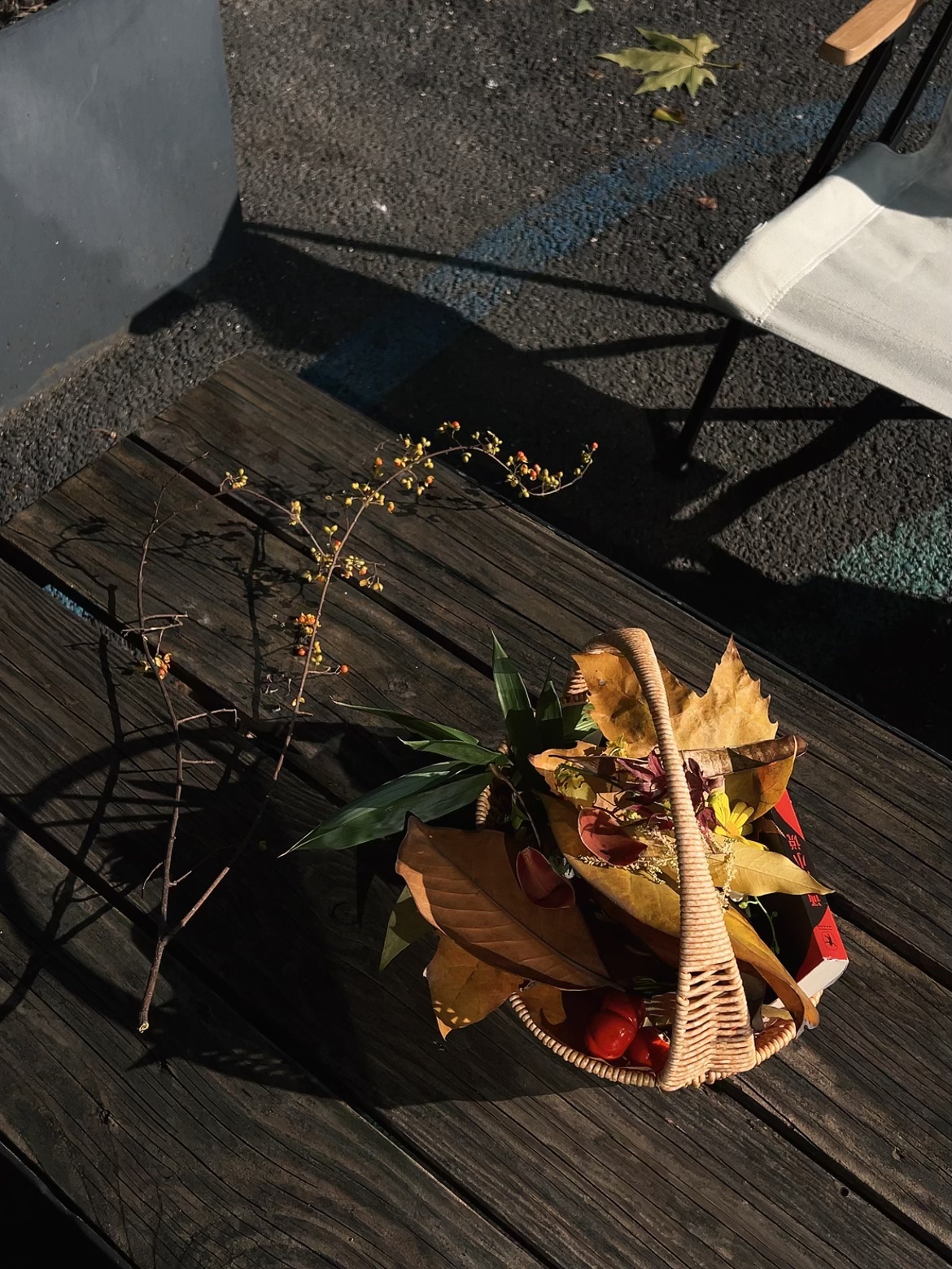 🔴𝚃𝚎𝚜𝚕𝚊｜“秋天的故事 不请自来” 秋风裹着落叶悄悄飘进车里，
故事总是不请自来。
	
#低头捡个秋 #汽车博主 #祝我们都好在秋天 #特斯拉 #女生车内饰 #特斯拉内饰 #一人一件车载好物 #秋日氛围感 @➰YY.