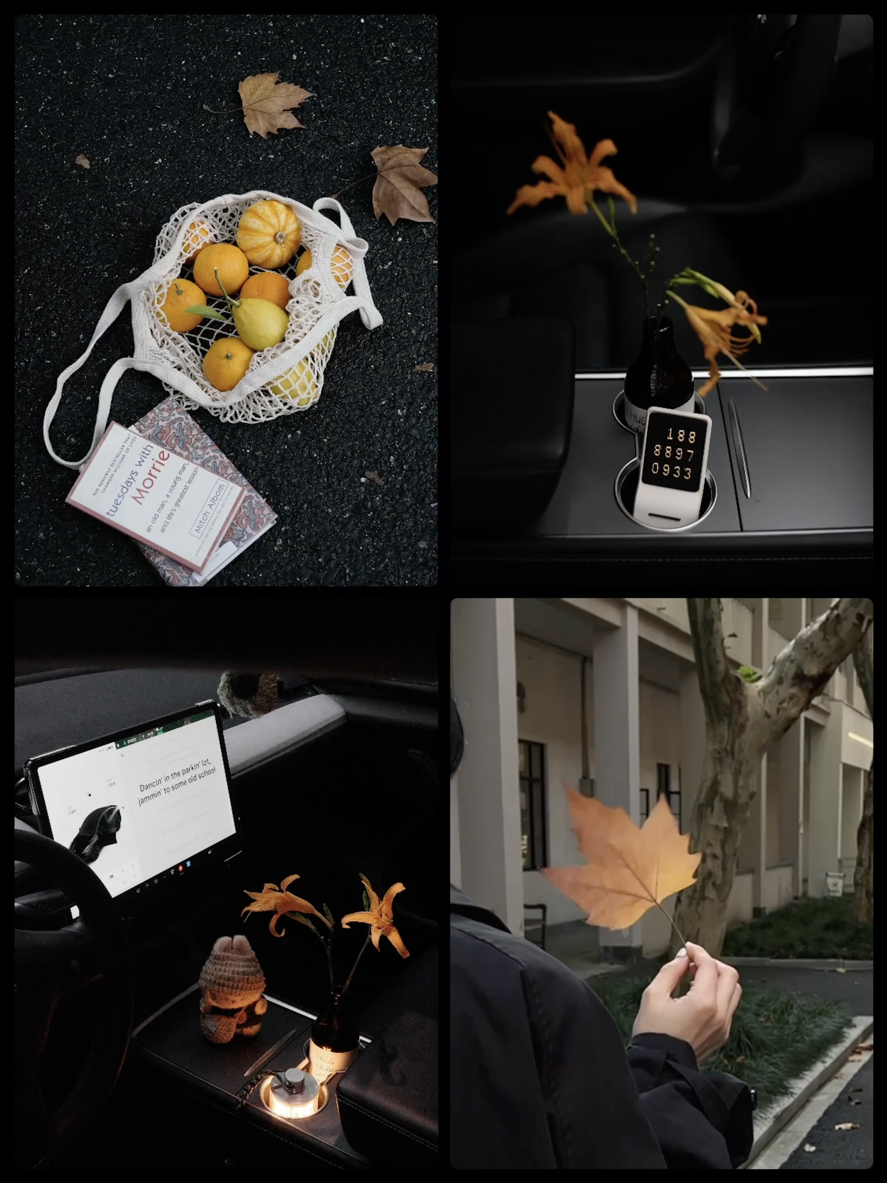 🔴𝚃𝚎𝚜𝚕𝚊｜“秋天的故事 不请自来” 秋风裹着落叶悄悄飘进车里，
故事总是不请自来。
	
#低头捡个秋 #汽车博主 #祝我们都好在秋天 #特斯拉 #女生车内饰 #特斯拉内饰 #一人一件车