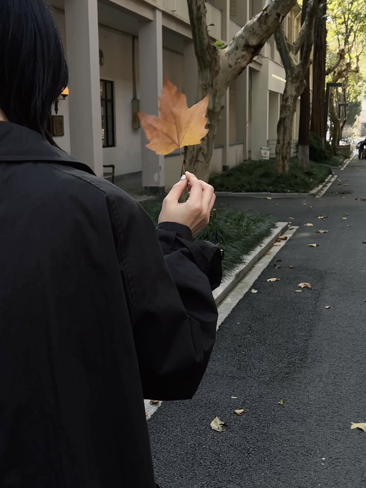 🔴𝚃𝚎𝚜𝚕𝚊｜“秋天的故事 不请自来” 秋风裹着落叶悄悄飘进车里，
故事总是不请自来。
	
#低头捡个秋 #汽车博主 #祝我们都好在秋天 #特斯拉 #女生车内饰 #特斯拉内饰 #一人一件车载好物 #秋日氛围感 @➰YY.