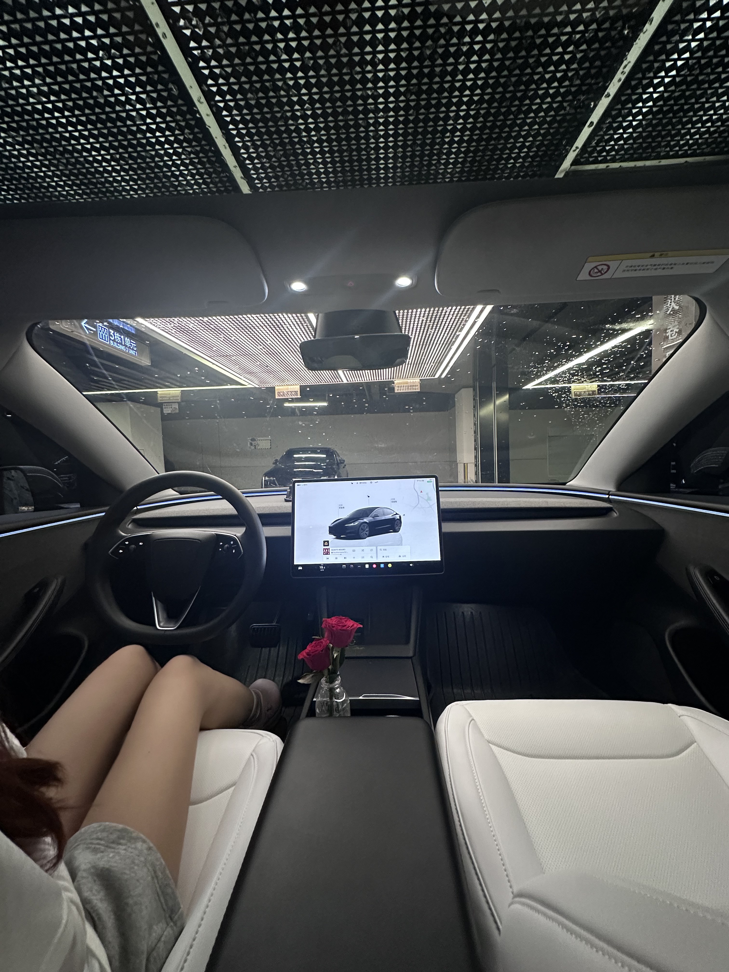 焕新3改了白内后拍照太好看了吧！😍 谁说特斯拉内饰是“毛坯房”？焕新3安排白色全包坐垫后彻底逆袭！皮质软乎乎的，和车身呼应超和谐，视觉上空间都大了。#特斯拉 #特斯拉座椅套 #特斯拉车主 #汽车内饰 #定格车内氛围感 #女生车内饰 #焕新3 #特斯拉内饰改装 #焕新3改装 @Telala