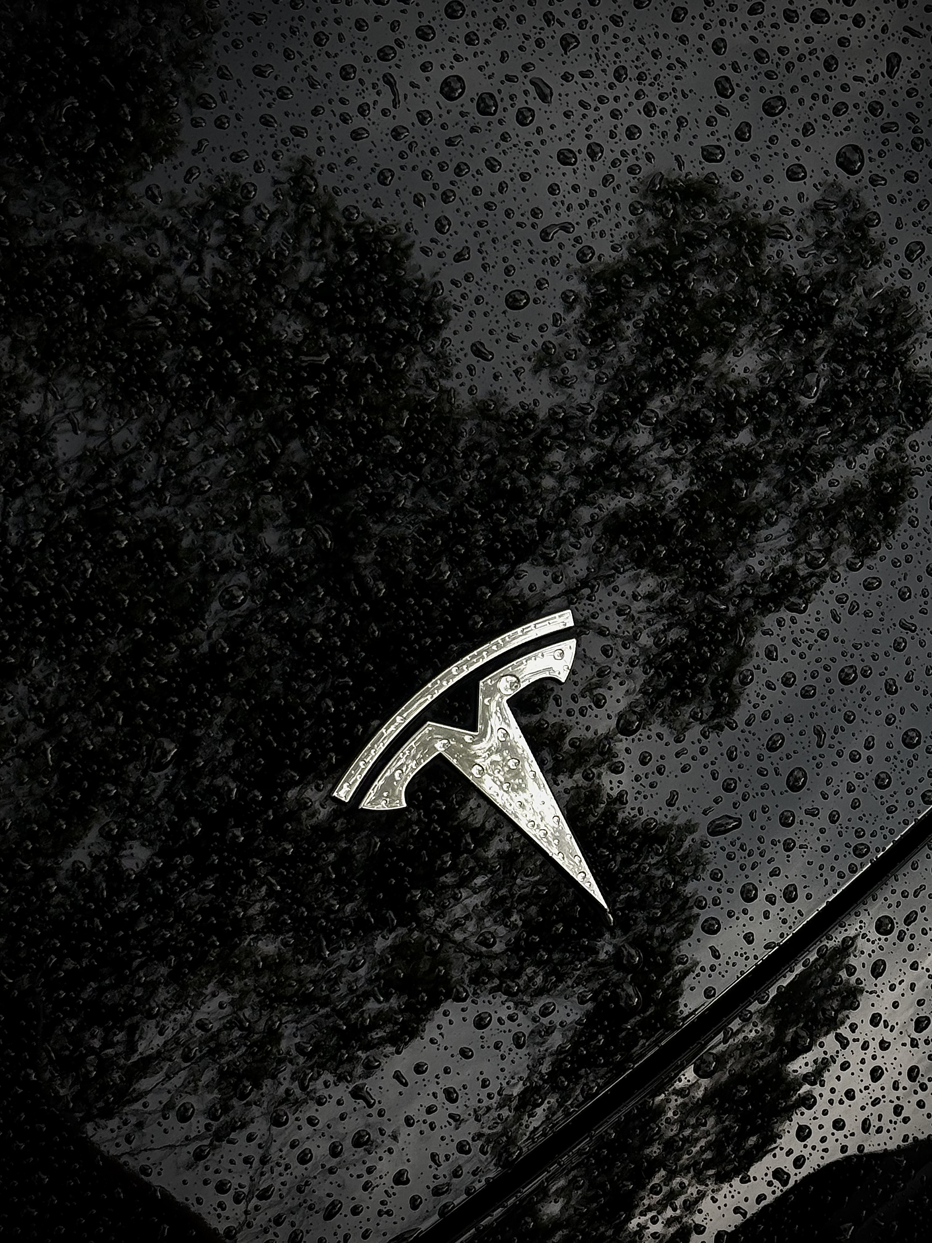 下雨天这样调真的超有氛围感！（附调色教程） 🌧️雨天的情绪是暗调的
镜头里藏着的阴雨天𓆡
我表达不出的情绪，雨天都帮我说了～
	
☔️原相机调色参数：
◾️鲜明度-11
◾️高光+100
◾️阴影-12
◾️对比+11
◾️亮度-33
◾️黑点+6
◾️锐度+30
◾️清晰度+30
◾️晕影+59
	
📷快来评论区晒晒你的雨天氛围感照片吧
#原相机调色
#暗调滤镜
#浪漫生活的记录者
#雨天拍照
#调色教程
#汽车博主
#特斯拉女车主
#记录吧就现在
#女生车里有什么
#雨天是最好的滤镜 @美少女壮士