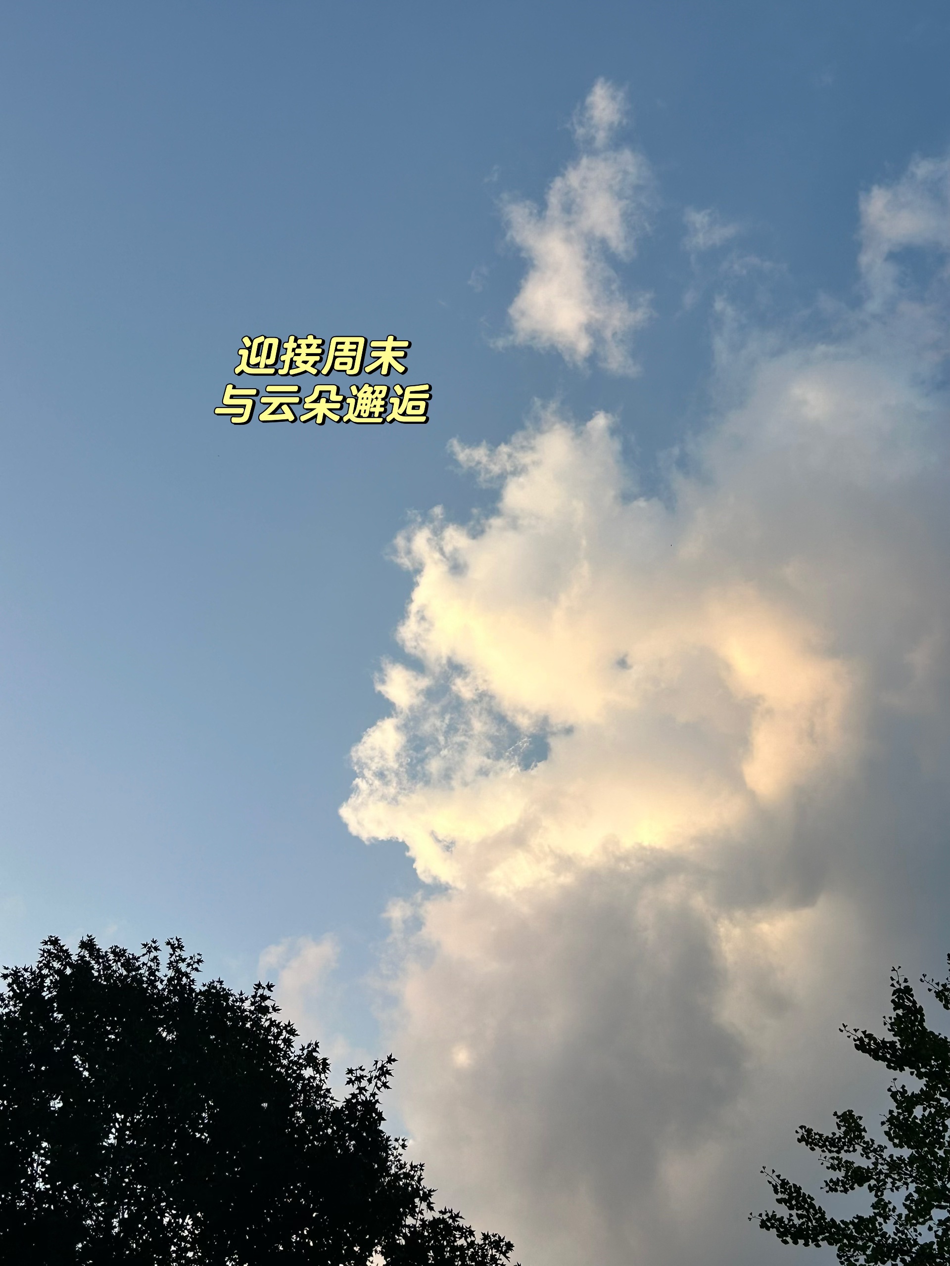 🚘30+丨我宣布，特斯拉就是我的人生代步车 开了特斯拉焕新y半年
还是每次进入的瞬间都会觉得，
好爱！❤️怎么没有早点换电车呀！
女生对车的喜爱，就源于颜值+便利吧
都超达标👍👍
#汽车拍摄
#汽车薯
#汽车博主新人
#新人博主
#特别心动的车
#我的理想车生活
#爱上一辆车的瞬间
#换车的尽头是电车 @肖肖的车生活