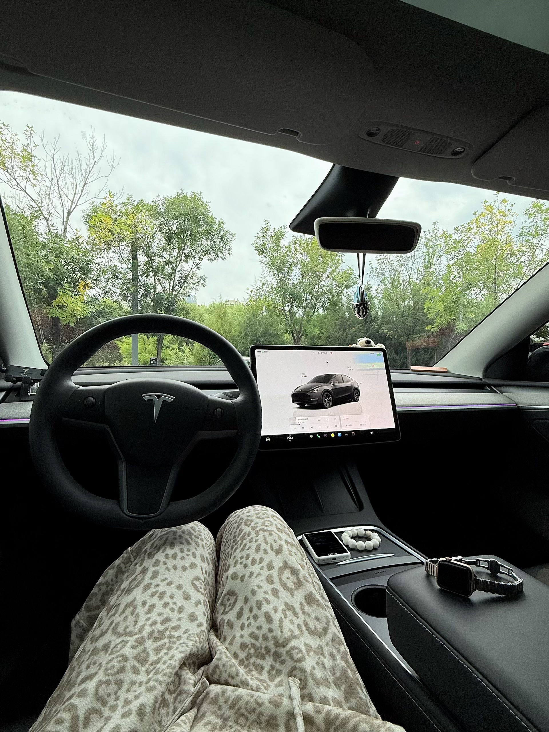 📸 特斯拉拍照指南｜车内大片必备技巧！🔁 姐妹们！
谁还不知道特斯拉是隐藏的拍摄我真的会哭😭
整理了这几个超实用拍摄技巧
轻松get高级感车内写真🚗
	
🌟【中控屏互动法】
利用超大屏幕当背景 播放星空/海洋动态壁纸
侧脸看向屏幕 科技感与氛围感双拉满🌌
🌟【前备箱网红坐姿】
别忘了特斯拉的前备箱！
坐在边缘伸长腿 广角镜头从上往下拍 显腿长2米不是梦👯♀️
🌟【露营模式yyds】
放倒座椅开启露营模式 搭配毛毯和枕头
慵懒居家风拿捏了 记得开空调保持舒适温度哦💤
🌟【方向盘构图法】
半握方向盘回头微笑 对焦在人眼虚化背景
车标若隐若现 高级感这不就来了！
	
最后附上调色参数：
亮度+20
对比度-10
高光-15
阴影+12
色温-8（特斯拉冷白光绝配！）
快@你的姐妹学起来 下次坐特斯拉别再错过出片机会啦🎞️
#特斯拉女孩 #车内拍照 #拍照技巧 #氛围感拍照 #开车当然要记录 #高级感车内饰 #车内第一视角拍摄 #车内必备好物 #车窗氛围照 #和你的汽车一起拍照 @🐟鱼鱼的鱼