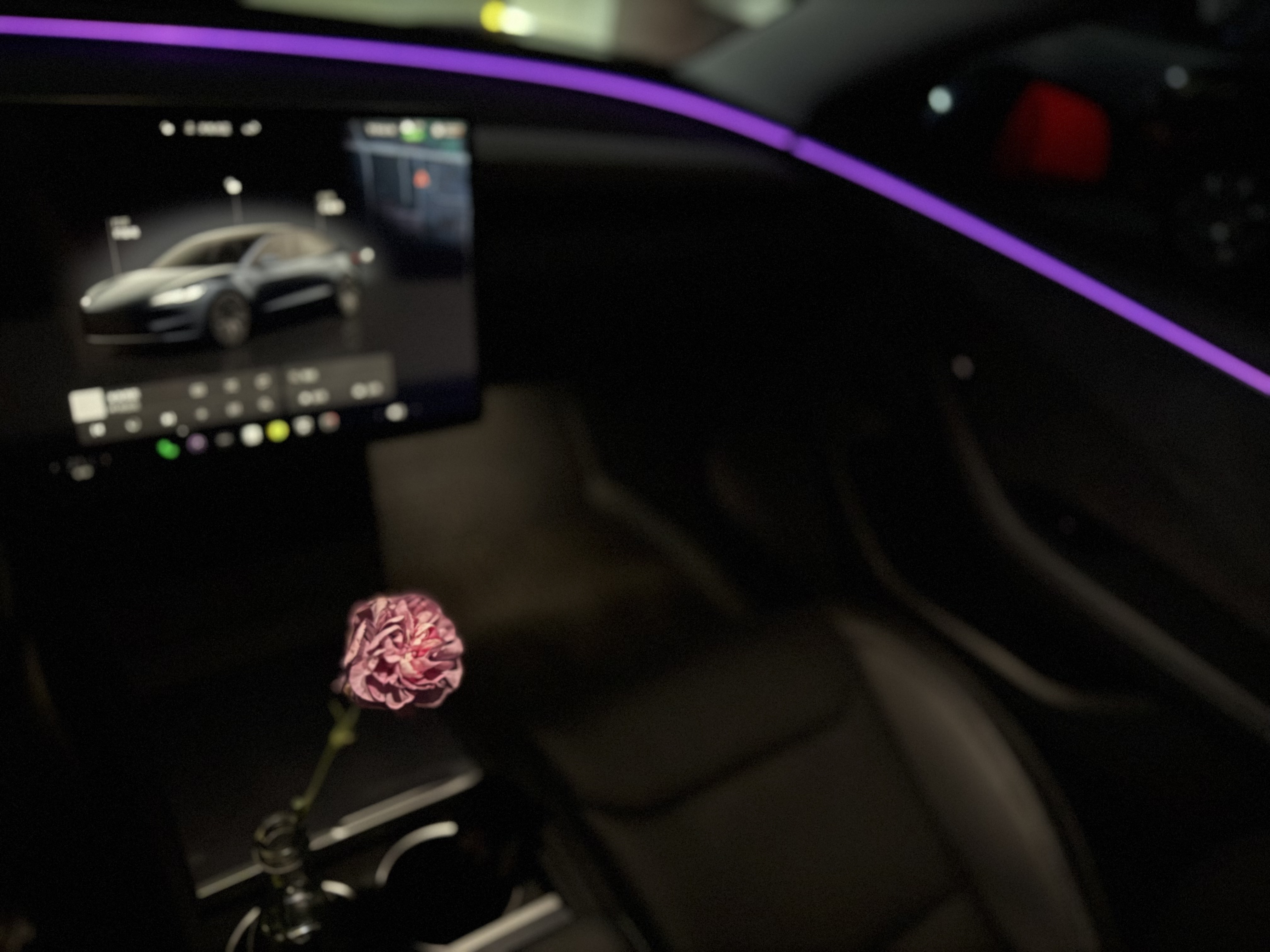 #Tesla｜特斯拉大玩具🧸汽车新搭子 model3+理想生活需要一点热爱和心动🤍
“恭喜您成为尊贵的特斯拉车主，愿转子交流电照亮您的事业与前程，一起加速世界可持续能源的转变”
都说特斯拉车漆比较薄，贴了透明车膜，很方便洗车，每次露营回来给它洗刷刷完美！油车换电车体验感很棒，幸福具像化，用喜欢的方式生活！
露营天花板移动的星空帐篷｜特斯拉大床房重新定义露营
一键放倒后排，秒变2米超大全平空间，搭配定制气垫床，铺上柔软床品。窗外是银河与篝火，车内是恒温静谧的私享天地。自动空调驱散夜寒，全景天窗框住整片星空，露营不再将就，每一夜都是顶配体验。
说走就走的「家」｜特斯拉大床房的野趣浪漫
无需搭建帐篷，无需担忧天气。电动尾门开启，即刻拥有专属大床房：隐藏式储物格收纳行李，手机无线充电守护电量，沉浸式音响播放助眠音乐。以车为家，把山野当庭院，把旅途过成诗。
极简出行，极致舒适！
	
#model3 #特斯拉 #自驾 #露营 #日常文案 #特斯拉女车 #汽车博主 #电车 #生活美学 #自驾游 @蓝不喝奶茶🎀