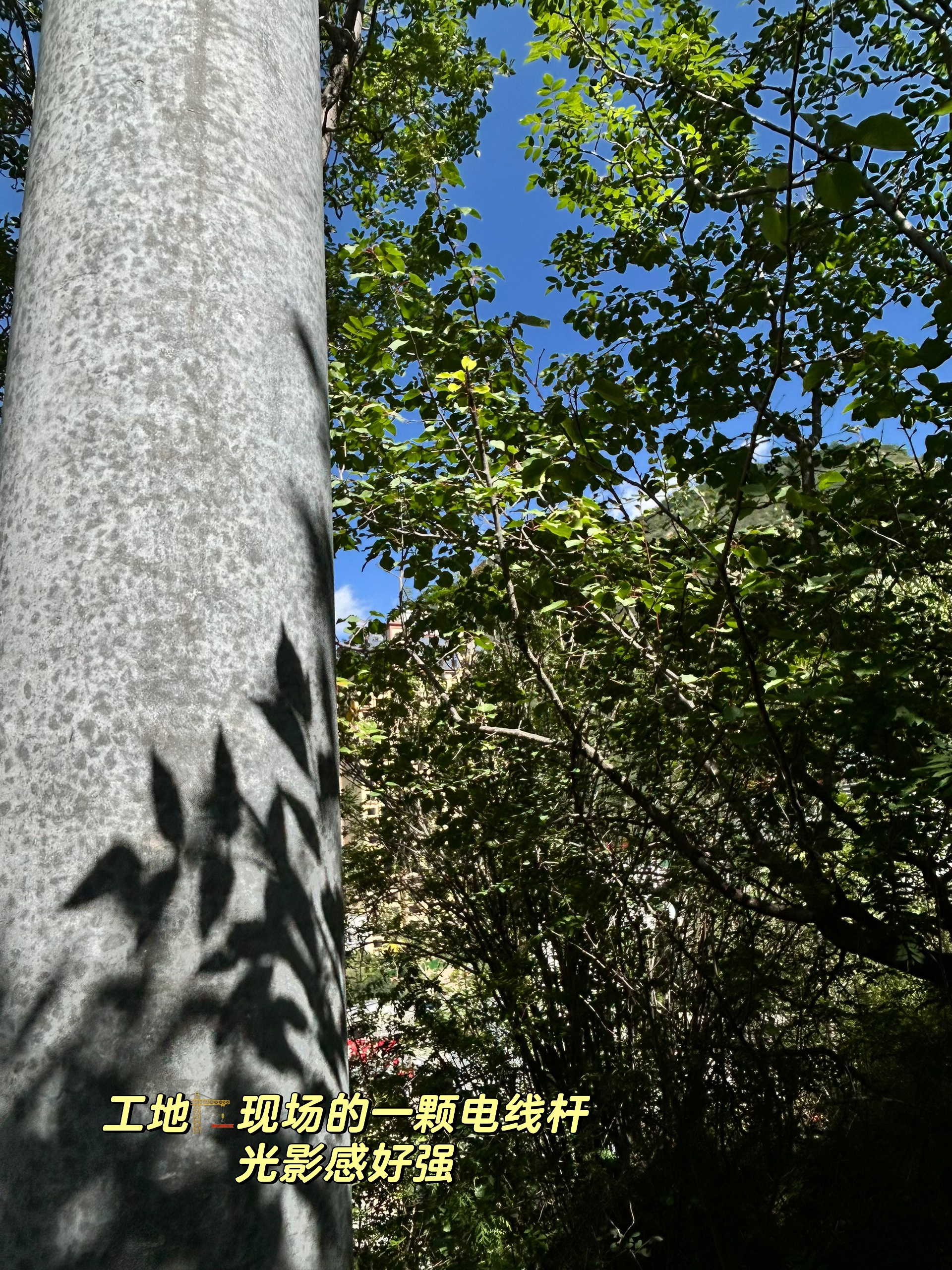 🚘30+丨我宣布，特斯拉就是我的人生代步车 开了特斯拉焕新y半年
还是每次进入的瞬间都会觉得，
好爱！❤️怎么没有早点换电车呀！
女生对车的喜爱，就源于颜值+便利吧
都超达标👍👍
#汽车拍摄
#汽车薯
#汽车博主新人
#新人博主
#特别心动的车
#我的理想车生活
#爱上一辆车的瞬间
#换车的尽头是电车 @肖肖的车生活