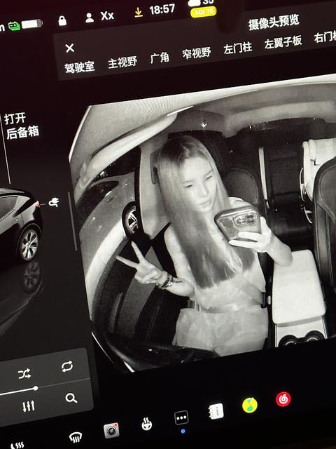 特斯拉自拍,就我是女鬼风吗 为什么我拍出来像!女!鬼!#特斯拉更新#特斯拉 @小熊娅欣