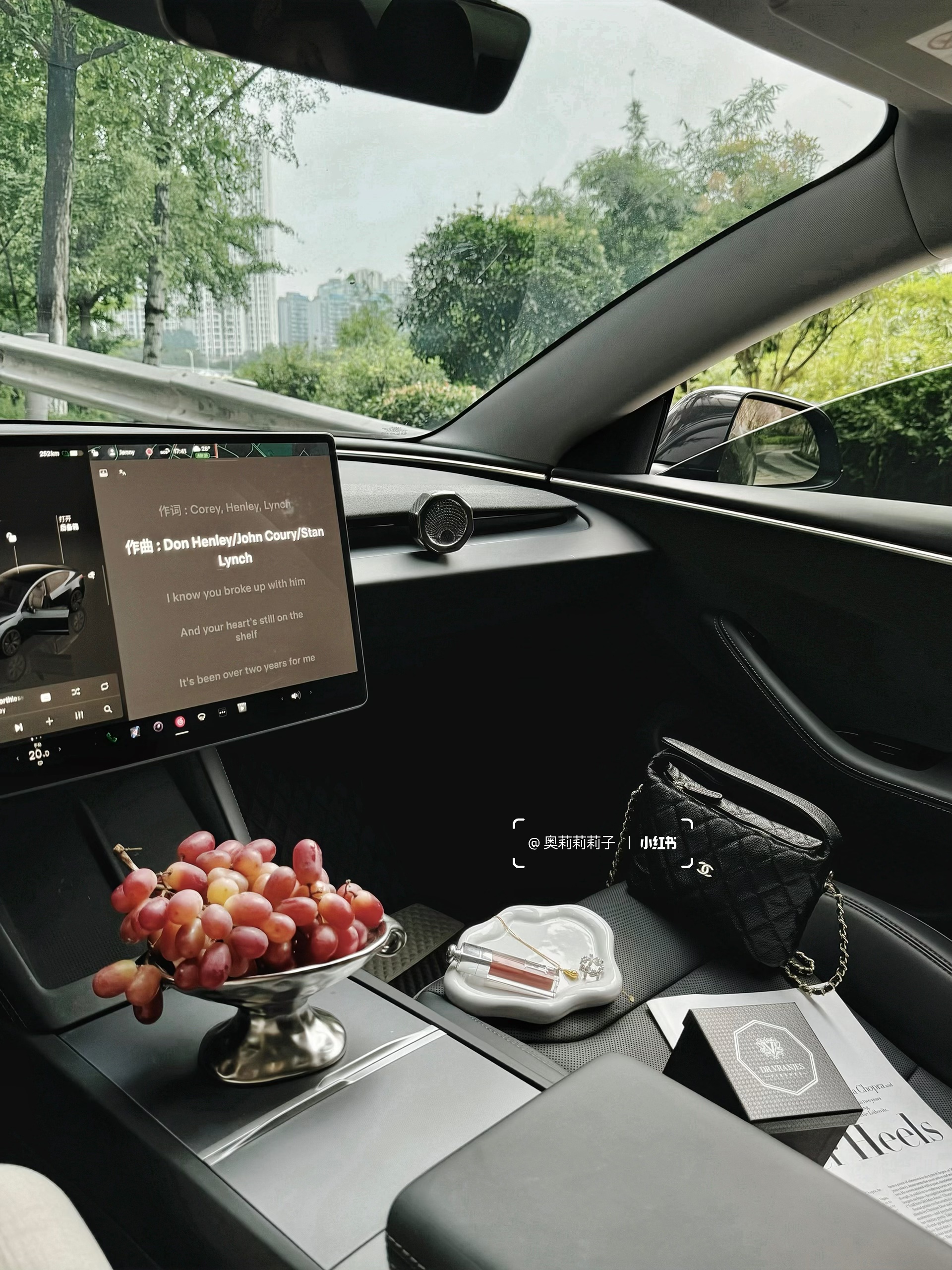 靠特斯拉涨粉1.8w，30+姐姐的博主日常 我也没想到
刚开始只是随手发发开车日常🤳
分享喜欢的车载好物和随手拍
结果好多人都在评论区问我🫢
“你的车为什么能一直这么干净？”
“怎么把车拍出这么高级的感觉？”
	
然后一年时间
我就收获了有1.8w个小可爱啦✌️
	
后来我渐渐明白
我们每天在车里度过的时间
其实比想象中更长
它不只是交通工具🚗
更是成年之后的第二个家🏠
	
一个真正属于自己、可以安心停靠的情绪空间
所以，我特别在意这个“家”带给我的感受
尤其是气味✨
	
刚好中秋时收到了朋友送来的礼物~
是 Dr.Vranjes 红酒贵族的车载香薰🍷
早就听说它是意大利殿堂级的香氛品牌
一下就爱上了，完全是我的本命香
	
八角造型灵感来自佛罗伦萨百花大教堂穹顶
星光银的质感低调又高级
和特斯拉的极简科技感太适配了🪩
	
更动人的，是它的香气情绪
清新酸甜的葡萄与浆果气息扑面而来
像一场流动的托斯卡纳阳光🌅
瞬间点亮心情，带来轻盈的愉悦感
随后浮起的桦木香🪵
温柔地将果香轻轻托住🍇
不过分甜腻，反而多了一份沉静的安稳
让整段车程都变得从容起来
	
堵车时闻到这个味道
焦虑好像真的被悄悄抚平了
	
后来我直接把同款无火香薰也搬回了家
搭配的自带孔径的天然藤条扩香力很强
香气扩散均匀又持久
没多久满屋都是微醺红酒香🍷
从此窝在家里也是一种享受
无意间发现原来井柏然、马思纯也在用这款！
不得不夸夸自己的小众审美品味
	
其实无论是车，还是房间🏠
我们都在寻找一种“被理解”的味道
它不张扬，却始终在场
用气息构筑一个安心、治愈的角落🎐
那是成年之后，我们亲手为自己搭建的
第二个家[红色心形R]
	
#特斯拉女车主 #一人一件车载好物 #DRV香薰 #DRV红酒贵族 #drvranjes #馥意世 #车载香薰 #车载好物 #小众礼物 #香气疗愈 #礼物推荐 #女生车里什么 #女性成长 #女生副驾驶#翻包记 #我的车生活 #我的车真好看 #高颜值汽车好物 @奥莉莉莉子