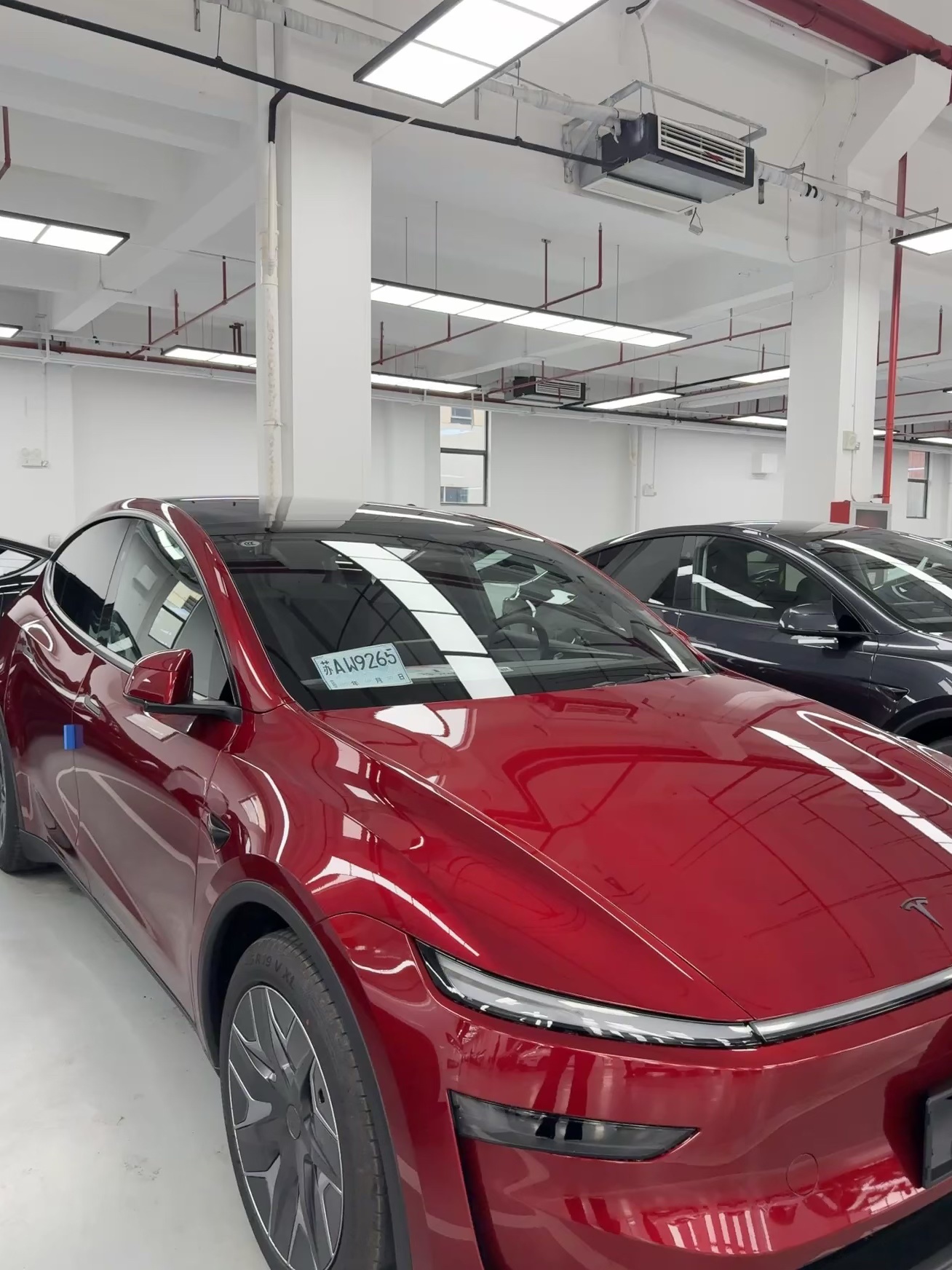 这才是YL的正确打开方式 #特斯拉yyy #特斯拉 #特斯拉yl @甜甜蛮调皮