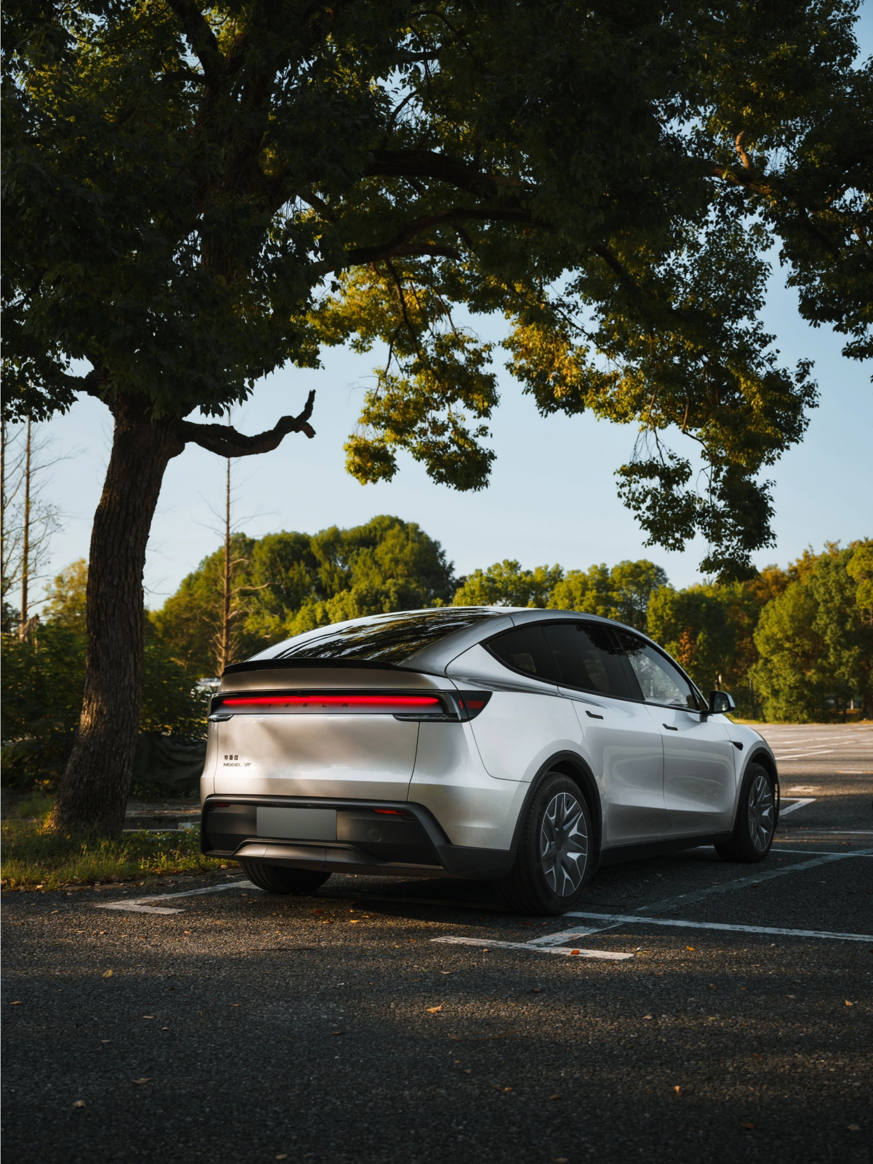 Model Y L 深秋滤镜已开启🍂 阳光穿林洒落☀️一抹金光，一阵微风
光影起舞，秋意正浓🍁
#和特斯拉发现出片秘诀
	
[私信R]你和特斯拉在哪里寻找秋日浪漫？
👇评论区说说看
	
📍：上海佘山森林公园
📸：@RK-Z @特斯拉