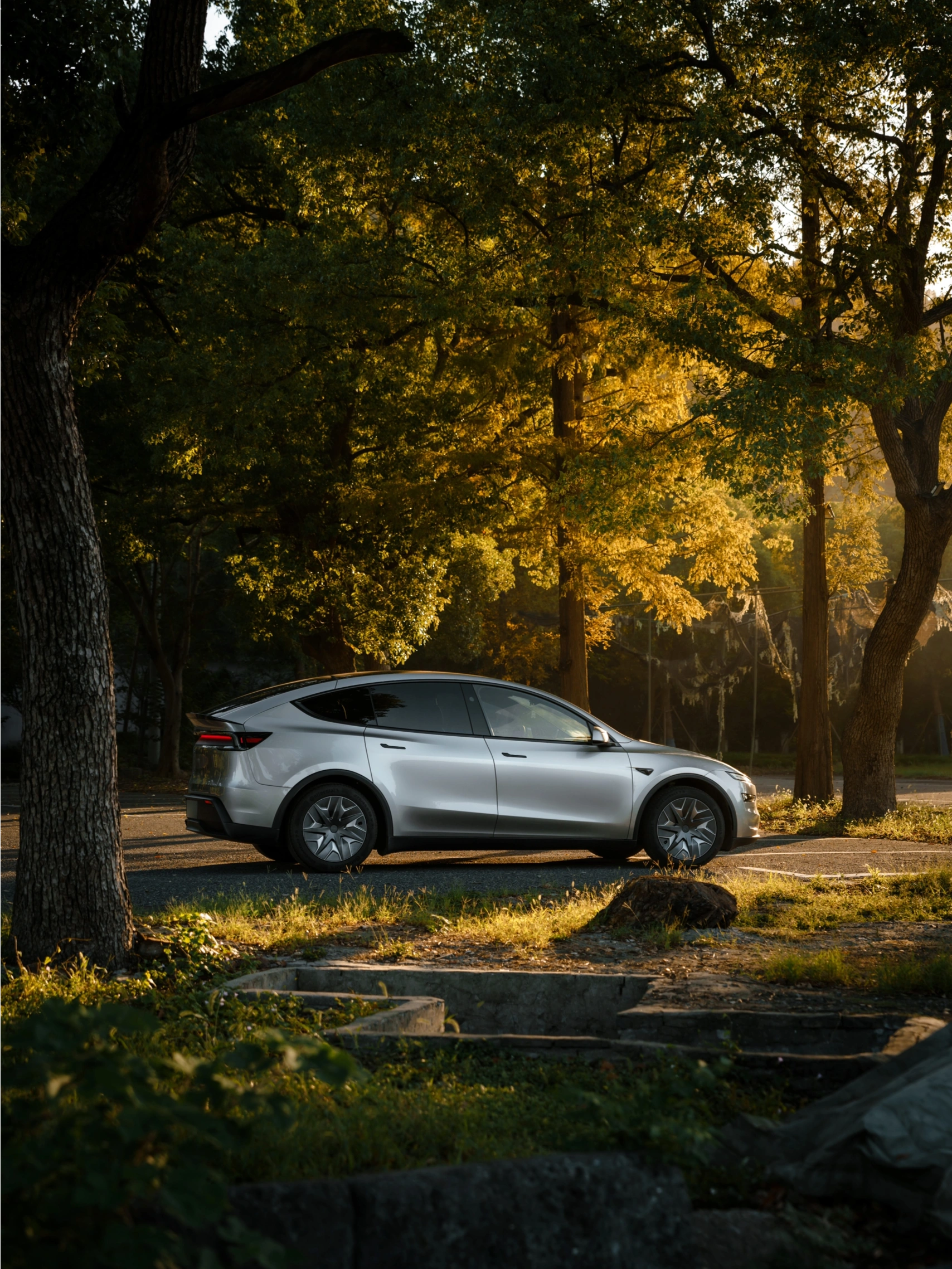 Model Y L 深秋滤镜已开启🍂 阳光穿林洒落☀️一抹金光，一阵微风
光影起舞，秋意正浓🍁
#和特斯拉发现出片秘诀
	
[私信R]你和特斯拉在哪里寻找秋日浪漫？
👇评论区说说看
	
📍：上海佘山森林公园
📸：@RK-Z @特斯拉