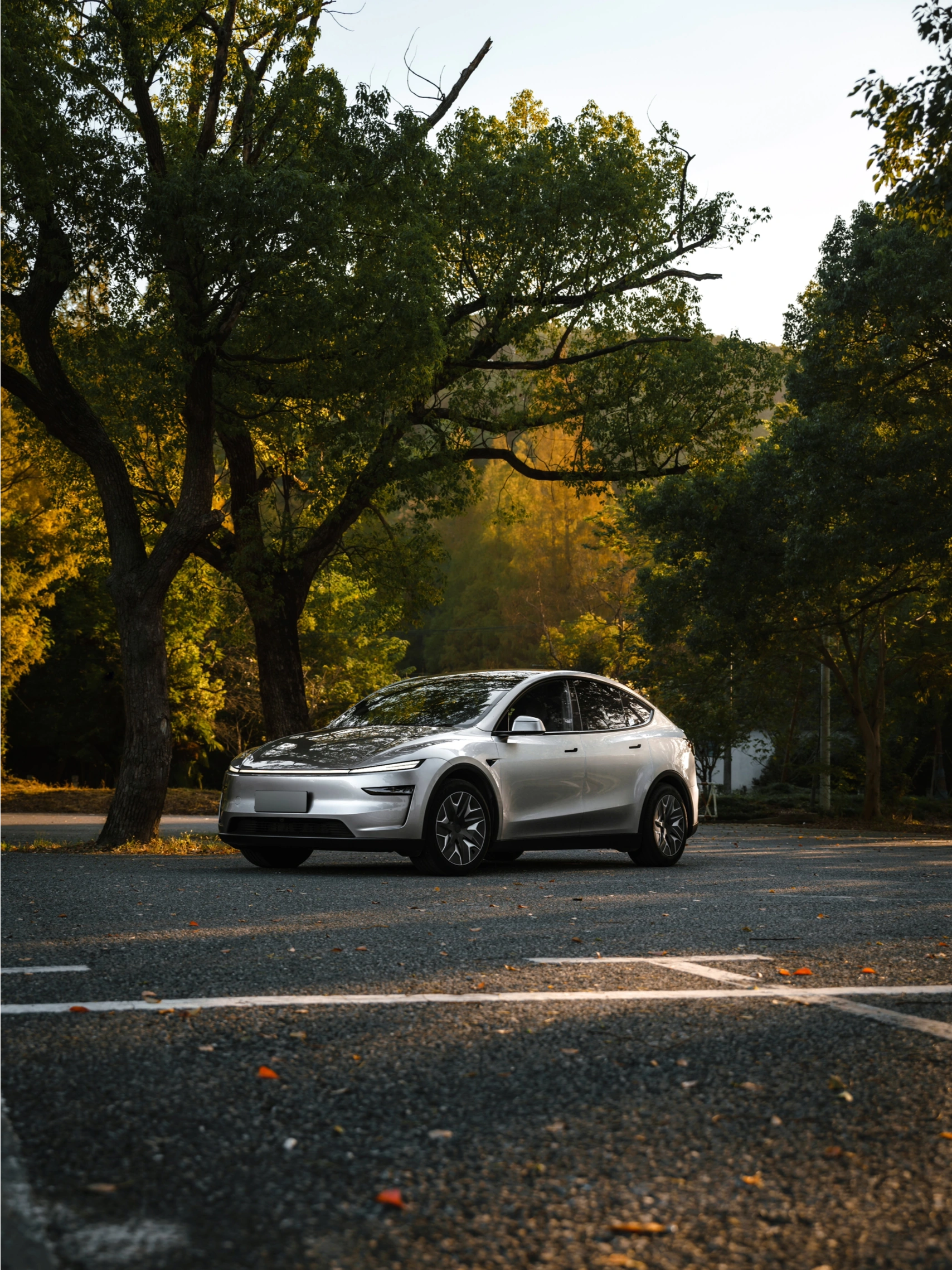 Model Y L 深秋滤镜已开启🍂 阳光穿林洒落☀️一抹金光，一阵微风
光影起舞，秋意正浓🍁
#和特斯拉发现出片秘诀
	
[私信R]你和特斯拉在哪里寻找秋日浪漫？
👇评论区说说看
	
📍：上海佘山森林公园
📸：@RK-Z @特斯拉
