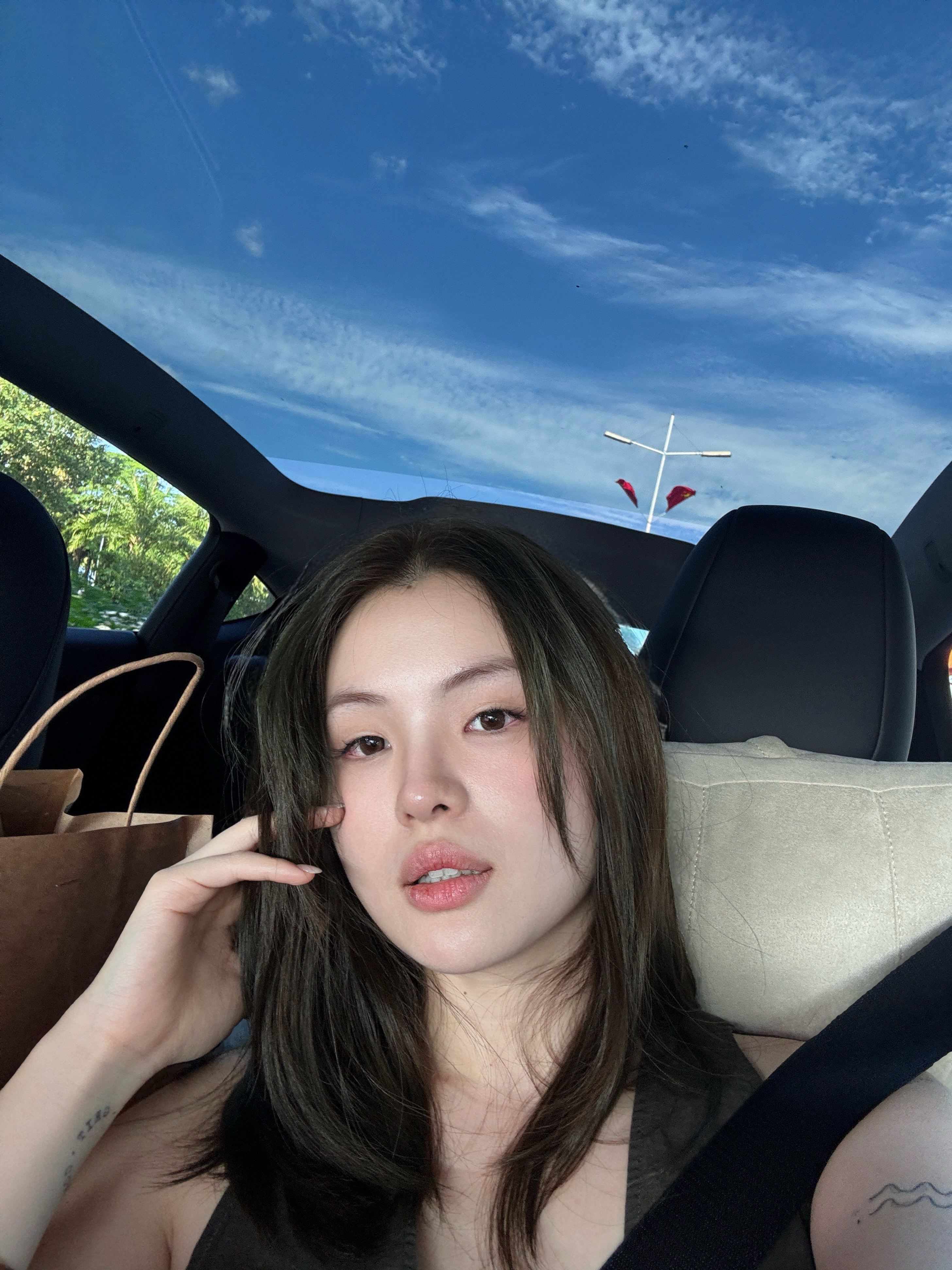 车内自拍我整明白了 内饰基础，天窗就不基础。🫰
	
——————特斯·毛坯·拉
#美美桑内 #坐上我的副驾 #针不戳 #焕新modely #毛坯风 #姐就是女王 @Huidio