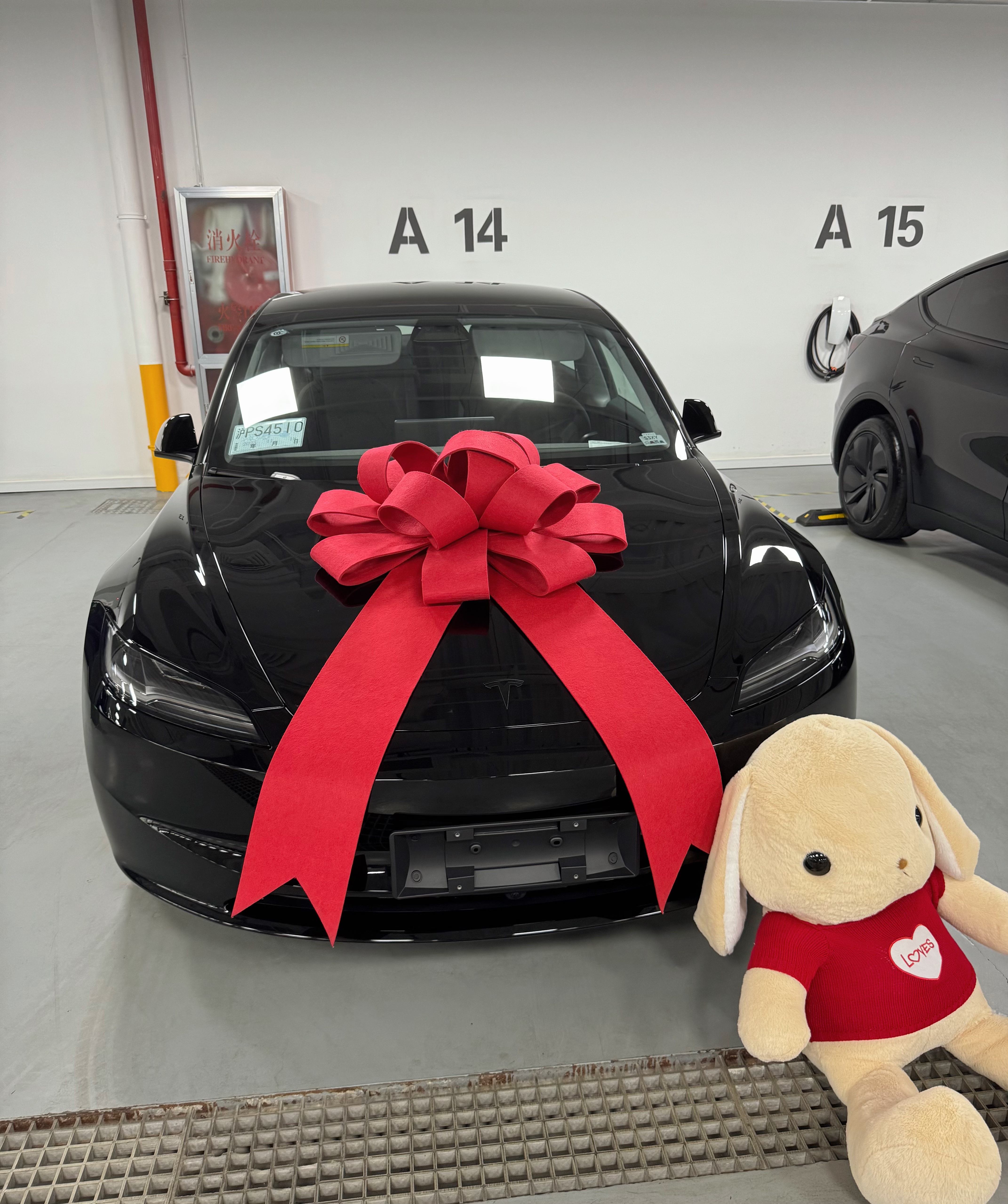 权威女人 不让妈爸少花一分钱 真的怀疑焕新3几个改动是不是为我这种上下左右瞬时反应能力为0的人量身定制的…
真的爱屏幕换档！明年整个银色儿
#特斯拉 #焕新3 @小天狼星