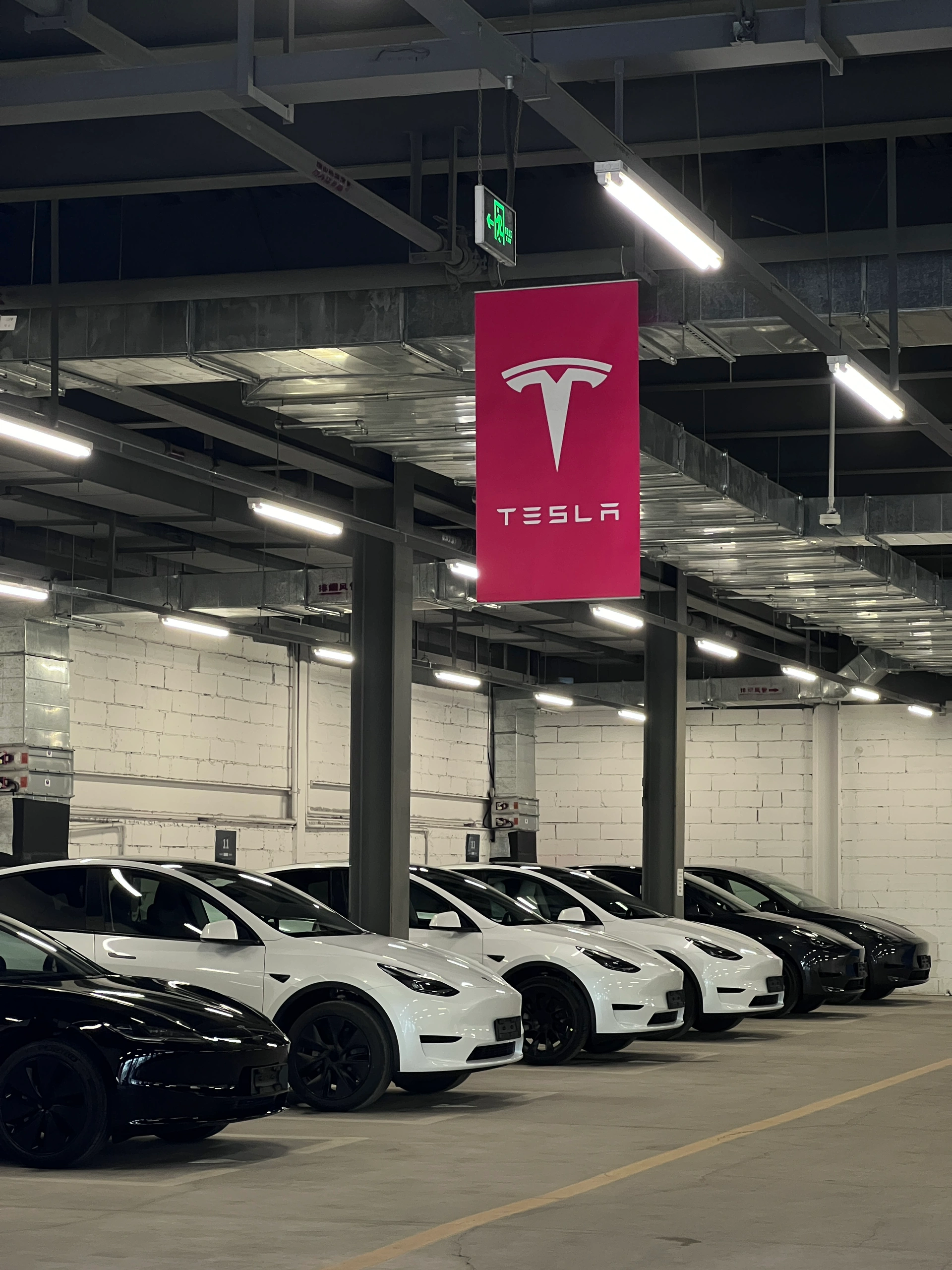 特斯拉的白是真的白 #闺蜜 #特斯拉 #特斯拉焕新3 #日常穿搭 #提车 @Blanche白白