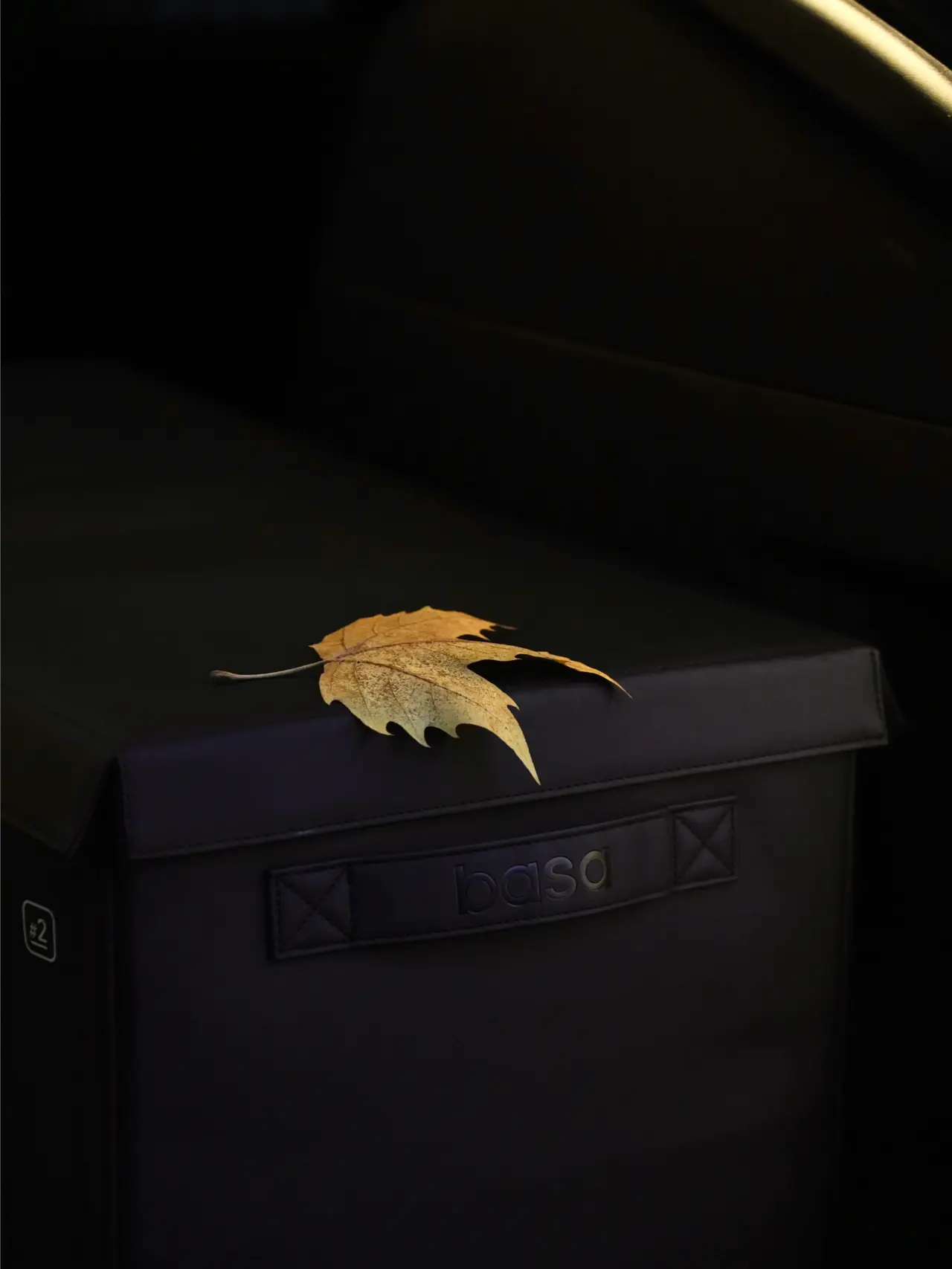 🔴𝚃𝚎𝚜𝚕𝚊|秋日很好,安静而又丰盛🍁 秋日的阳光,有一种恰到好处的温柔。
工作间隙,不想困在办公桌电脑前。
于是,拎出后备箱里的露营桌椅,
在楼下的树下寻一处安静。
风来的时候,
叶子一片一片落下来,
不慌不忙。
它们不像花那样争着被人看见,
却自有姿态。
我坐在那儿,喝一口热咖啡,
翻两页书,什么也不急着完成。
新入的折叠收纳箱,
刚好派上用场。
平时散在后备箱的饮料、杂物,
终于有了归处。
整整齐齐地放好,
心里也像被理清了一小块。
有时候觉得,
生活里那些细微的秩序感,
就是一种温柔的抵抗。
抵抗忙、抵抗乱、抵抗不由自主的节奏。
这个秋天,我开始学会在零碎的时间里,
给自己留一片这样的空隙——
不说话,不赶时间,只是安静地待着。
就像这些落叶,不必非要成为花,
却一样能点亮一整个季节的意境。
安静,也是一种丰盛。
#留住秋天的一百种方式 #特斯拉 #汽车博主 #女生车内饰 #特斯拉modely #特斯拉内饰 #汽车露营 #后备箱空间 #后备箱 #一人一件车载好物 @➰YY.