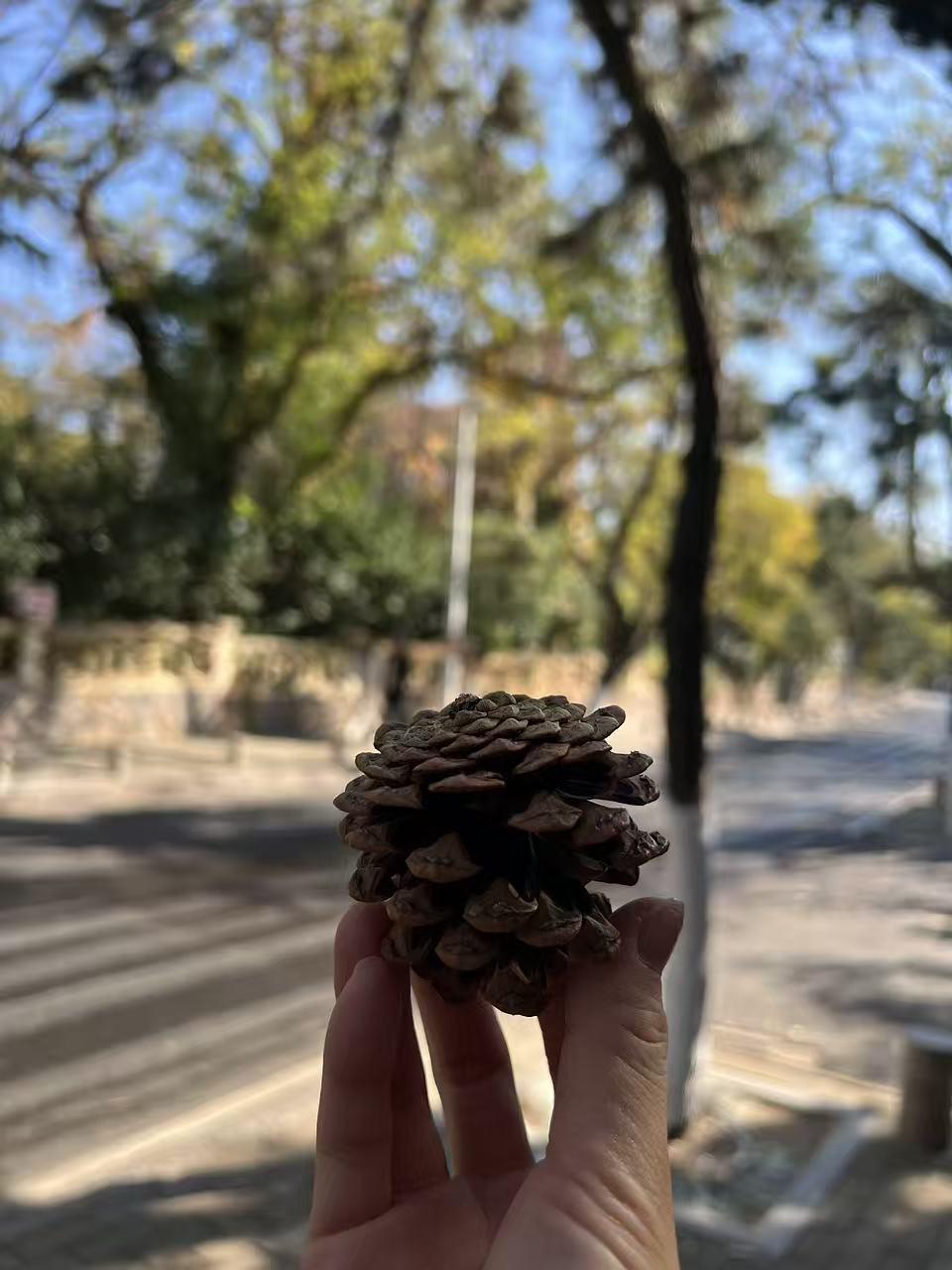 🚗💨公路旅行必备!颜值和温暖我都要! 秋冬自驾游,开长途都要备上一大壶...
旅途幸福感蹭蹭往上涨!
实名夸夸这个旅行搭子的贴心设计:
1⃣️随手就走的提手:这个红色的小提手也太方便了吧!无论是下车拍照还是休息区接水,手指一勾就走,完全不费力。
2⃣️:车内c位担当,颜值清新又治愈,简直是美美的拍照📸道具。
3⃣️:保温给力超长待机:亲测有效!早上出门泡的热茶,到下午还是烫烫的!翻山越岭也能喝到一口热饮,这种感觉真的太幸福啦~
超大容量还可以带到户外露营可以冲热咖啡☕/奶茶水源补给。
真心推给所有爱出去玩的姐妹!有了它,漫长的公路也变成温暖的享受。
#特斯拉女车主 #特斯拉
#外出必备
#冬日温暖神器 #实用与颜值并存
#保温杯 #萌宠好物 #整点儿摄影节奏
#小红书RFL时尚轻单 @fafa的移动充电堡