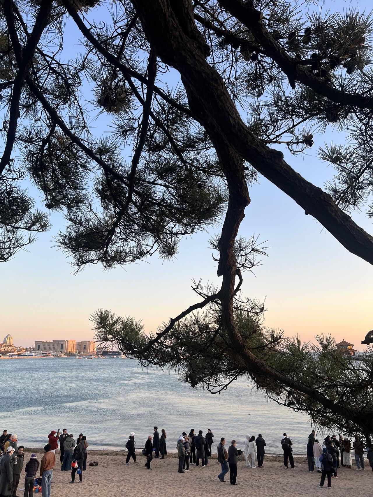 🚗💨公路旅行必备!颜值和温暖我都要! 秋冬自驾游,开长途都要备上一大壶...
旅途幸福感蹭蹭往上涨!
实名夸夸这个旅行搭子的贴心设计:
1⃣️随手就走的提手:这个红色的小提手也太方便了吧!无论是下车拍照还是休息区接水,手指一勾就走,完全不费力。
2⃣️:车内c位担当,颜值清新又治愈,简直是美美的拍照📸道具。
3⃣️:保温给力超长待机:亲测有效!早上出门泡的热茶,到下午还是烫烫的!翻山越岭也能喝到一口热饮,这种感觉真的太幸福啦~
超大容量还可以带到户外露营可以冲热咖啡☕/奶茶水源补给。
真心推给所有爱出去玩的姐妹!有了它,漫长的公路也变成温暖的享受。
#特斯拉女车主 #特斯拉
#外出必备
#冬日温暖神器 #实用与颜值并存
#保温杯 #萌宠好物 #整点儿摄影节奏
#小红书RFL时尚轻单 @fafa的移动充电堡