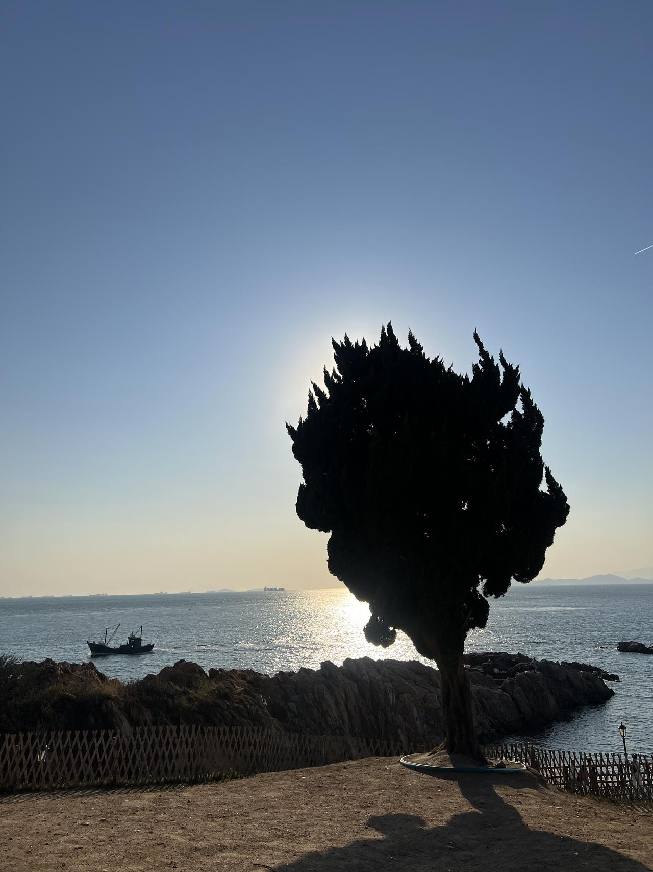 🚗💨公路旅行必备!颜值和温暖我都要! 秋冬自驾游,开长途都要备上一大壶...
旅途幸福感蹭蹭往上涨!
实名夸夸这个旅行搭子的贴心设计:
1⃣️随手就走的提手:这个红色的小提手也太方便了吧!无论是下车拍照还是休息区接水,手指一勾就走,完全不费力。
2⃣️:车内c位担当,颜值清新又治愈,简直是美美的拍照📸道具。
3⃣️:保温给力超长待机:亲测有效!早上出门泡的热茶,到下午还是烫烫的!翻山越岭也能喝到一口热饮,这种感觉真的太幸福啦~
超大容量还可以带到户外露营可以冲热咖啡☕/奶茶水源补给。
真心推给所有爱出去玩的姐妹!有了它,漫长的公路也变成温暖的享受。
#特斯拉女车主 #特斯拉
#外出必备
#冬日温暖神器 #实用与颜值并存
#保温杯 #萌宠好物 #整点儿摄影节奏
#小红书RFL时尚轻单 @fafa的移动充电堡