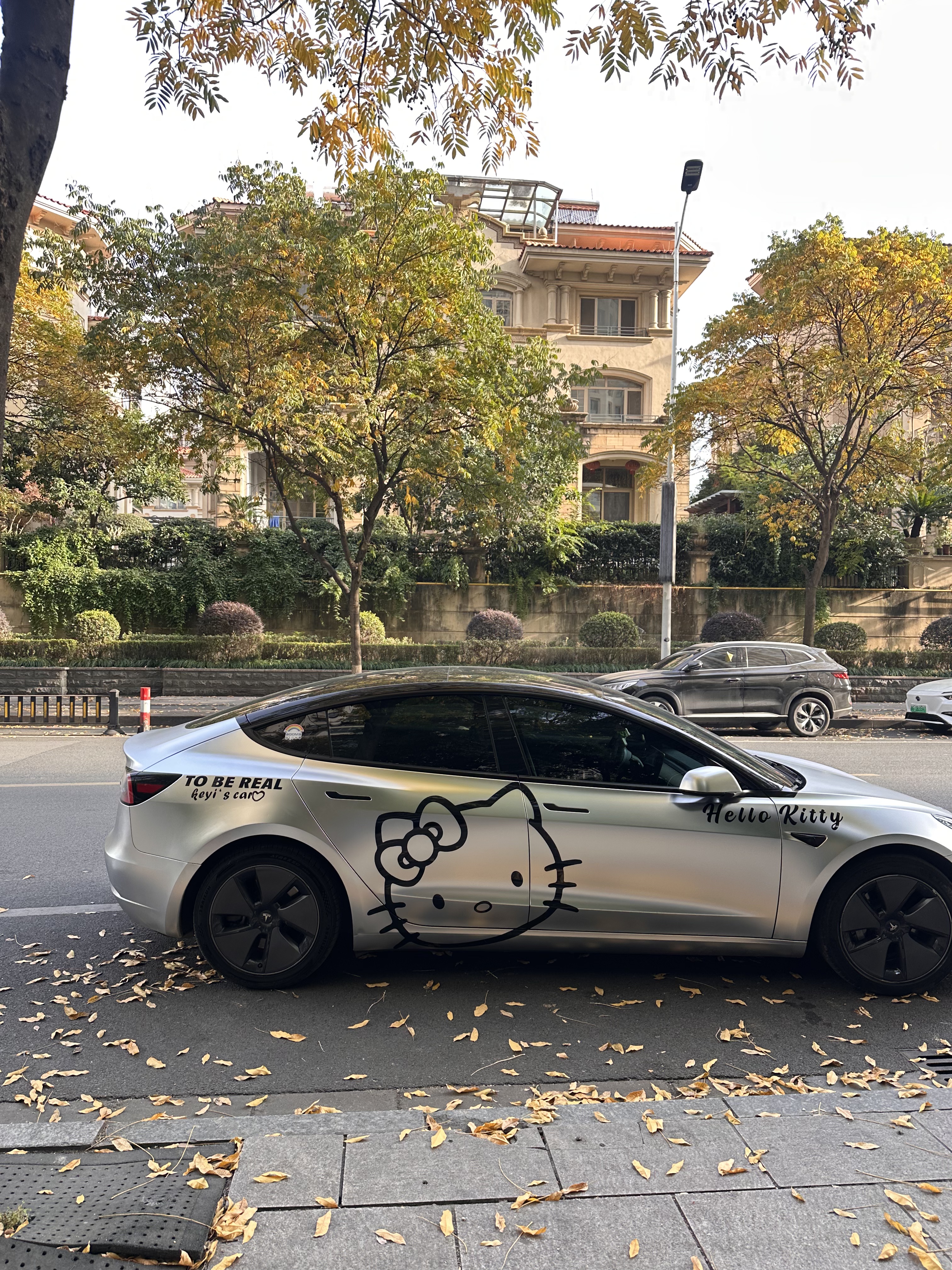 halo我的新皮肤 又来给我的特斯拉换新皮肤啦｜
亚历山大银+kitty拉花真的又酷又可爱！
	
必冲皮肤啊❤️❤️❤️
	
#特斯拉改色 #特斯拉拍照 #美丽新尝试 #今天的我有点不一样 #越看越喜欢系列 @余蛋儿🍼