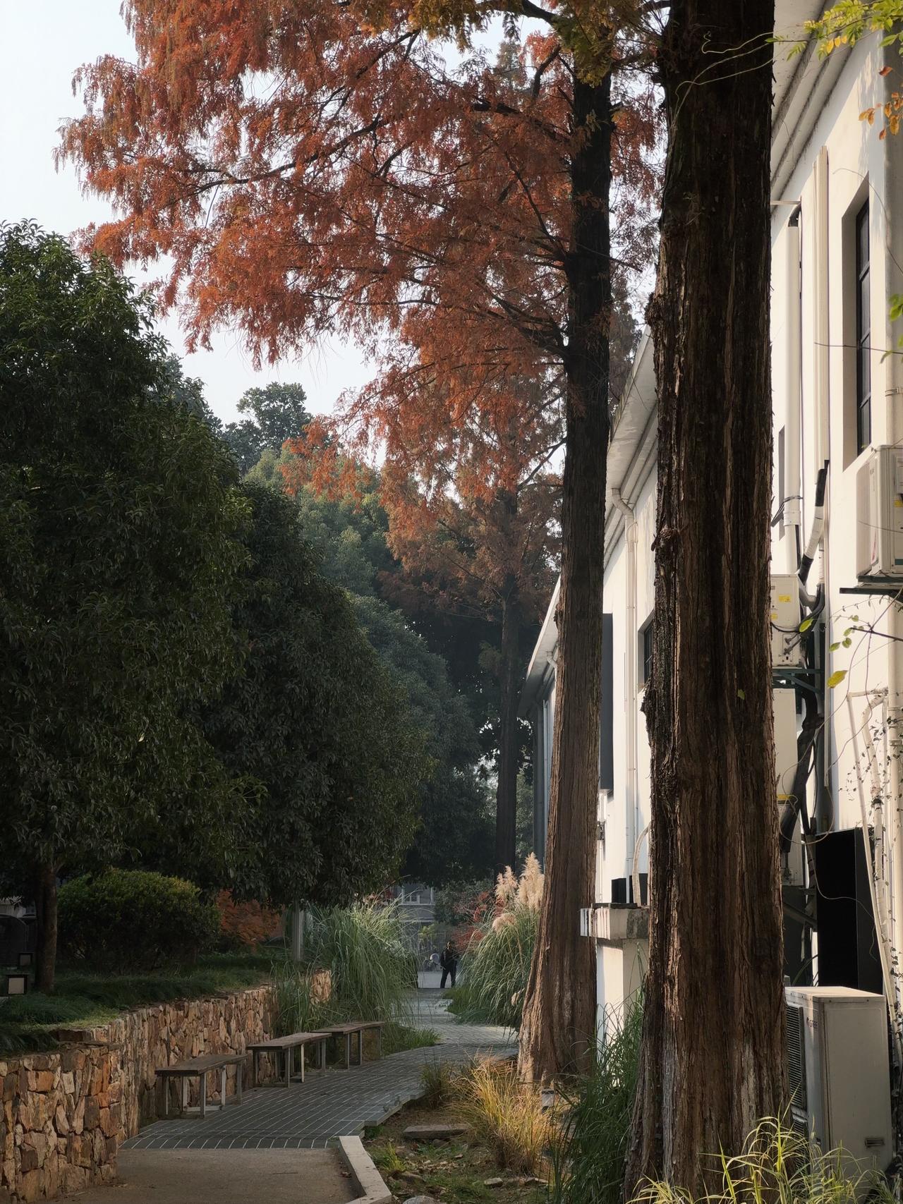 🔴𝚃𝚎𝚜𝚕𝚊|“循环在自己的喜欢里” 梧桐叶缓缓飘落的午后,
打开后备箱——露营椅,
一杯桂花茶,一小棵圣诞树。
不多,却足够让这个十二月的缝隙透进光。
风穿过枝桠,
沙沙声里藏着时间的密语。
最简单的拥有,
往往最接近自由。
在循环的日常里,
打捞属于自己的粼粼波光。
#汽车博主 #特斯拉 #女生车内饰 #12月 #圣诞氛围 #圣诞树装饰 #特斯拉modely #女性成长 #碎片是生活的记录 #后备箱露营 @➰YY.